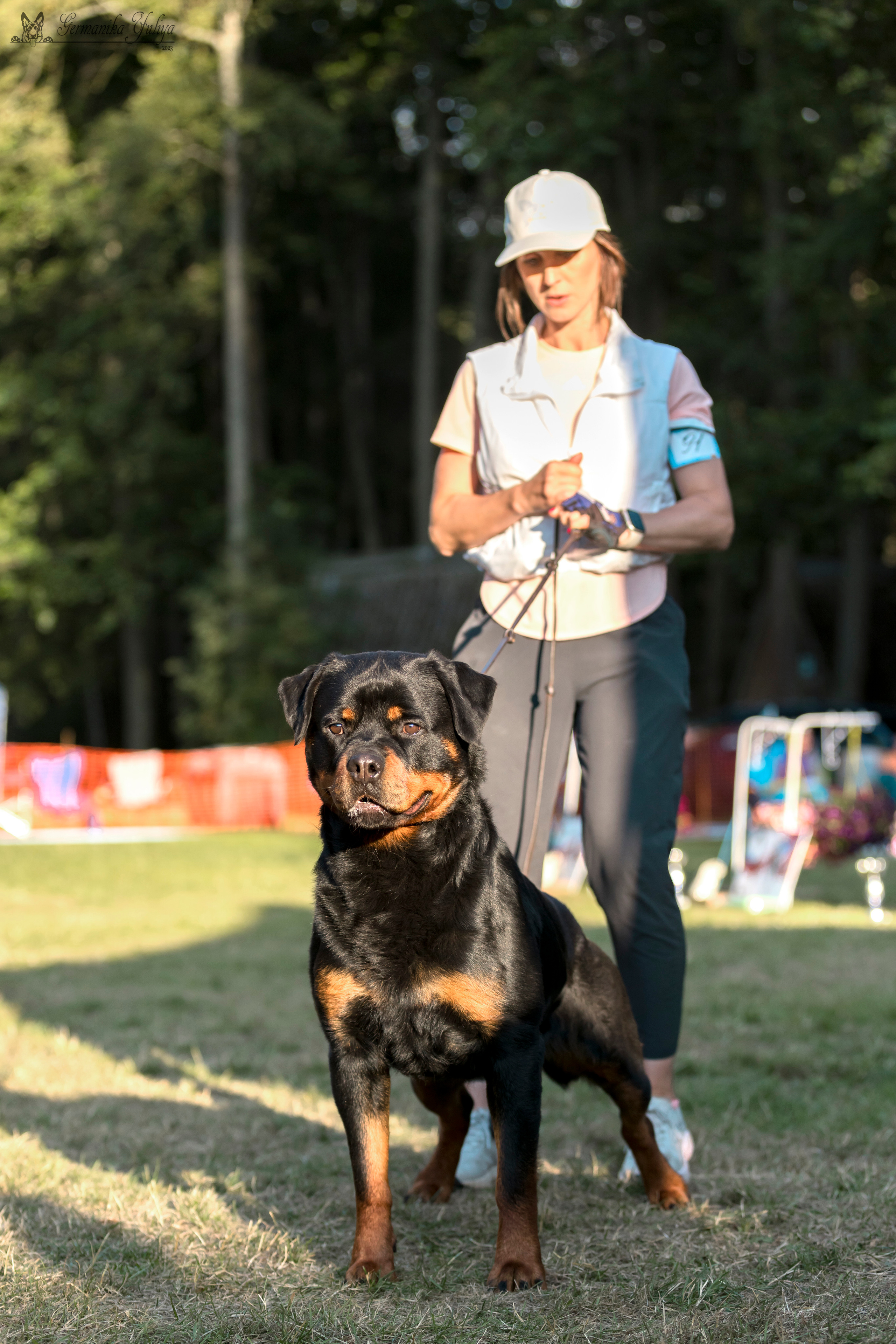 ПК и КЧК ротвейлеров Питер 22-23.07.2023. Фотограф-анималист Юлия Германика