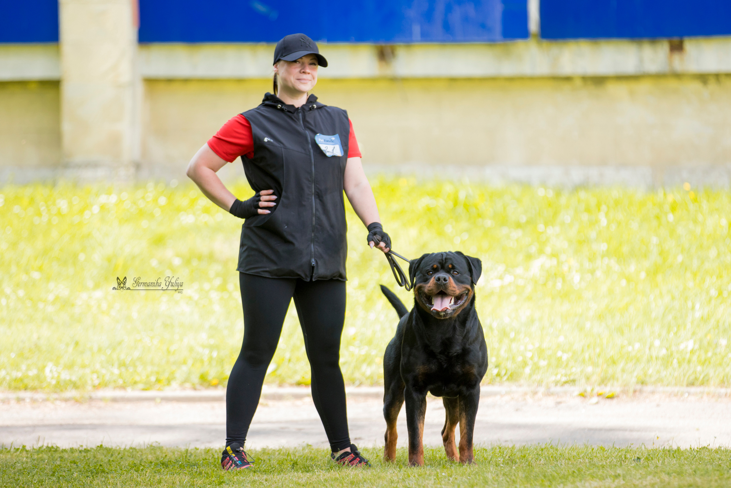 ПК и КЧК ротвейлеров Питер 22-23.07.2023. Фотограф-анималист Юлия Германика