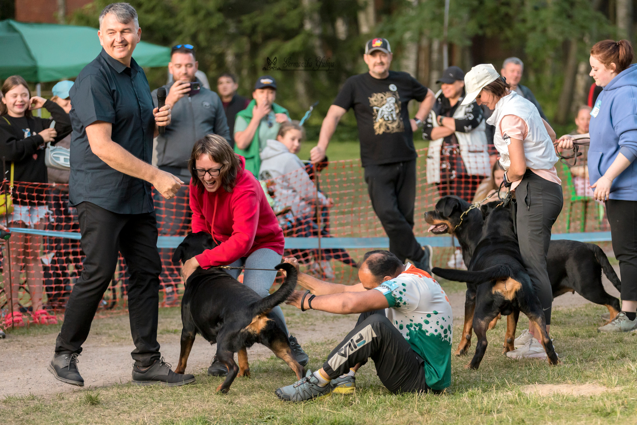 ПК и КЧК ротвейлеров Питер 22-23.07.2023. Фотограф-анималист Юлия Германика