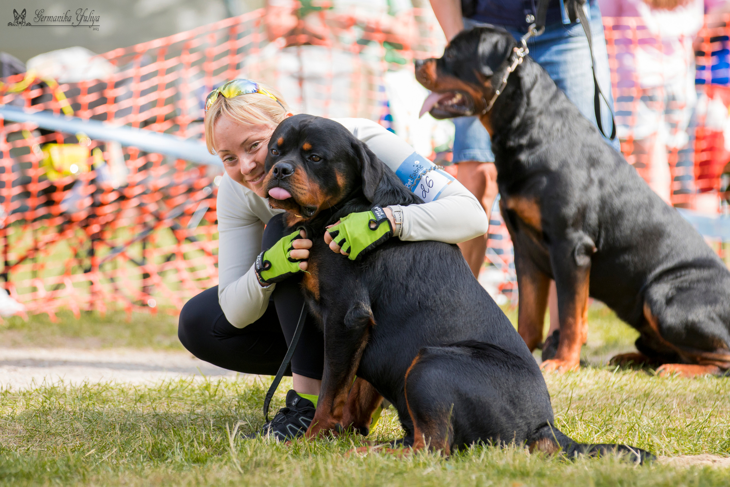ПК и КЧК ротвейлеров Питер 22-23.07.2023. Фотограф-анималист Юлия Германика