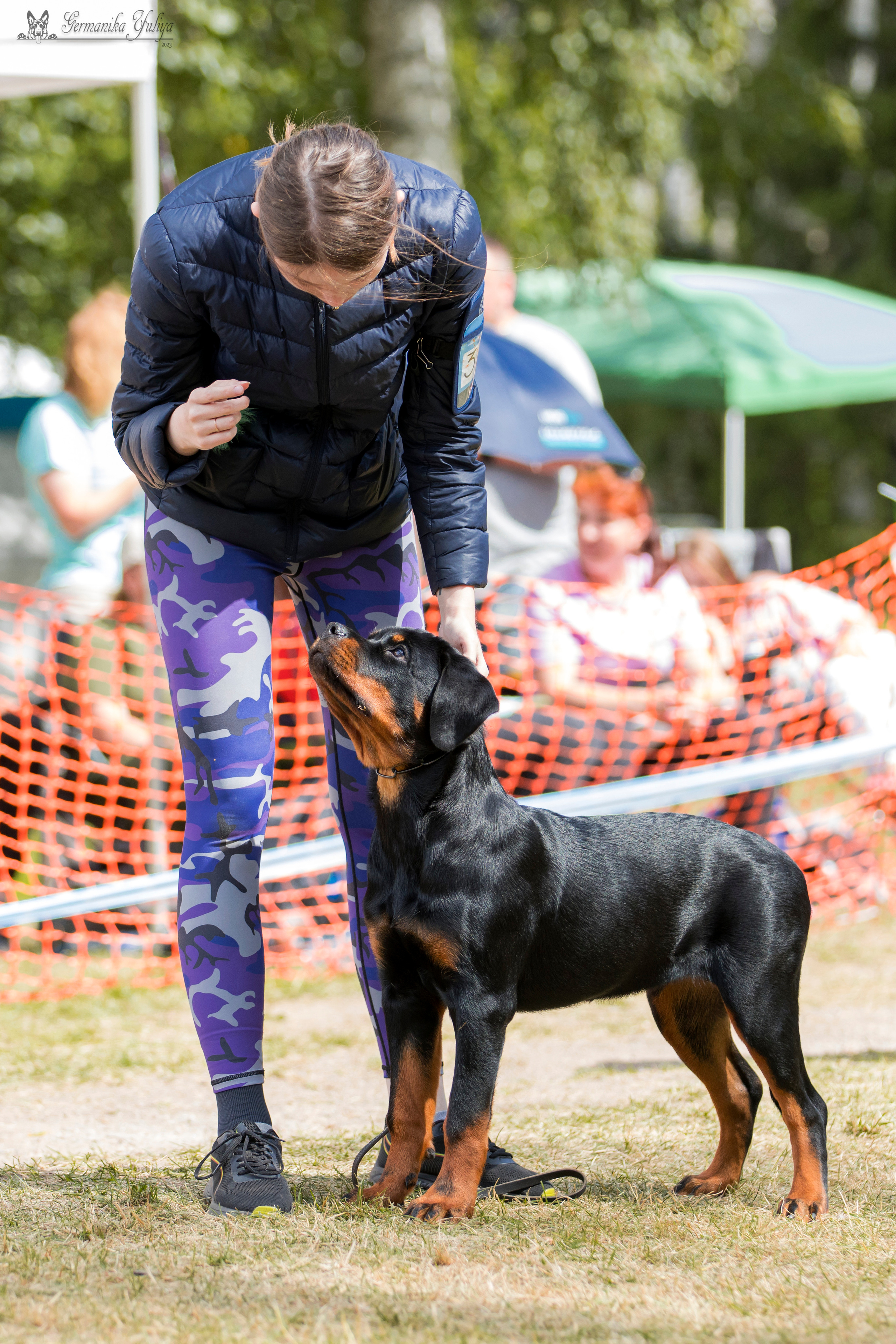 ПК и КЧК ротвейлеров Питер 22-23.07.2023. Фотограф-анималист Юлия Германика