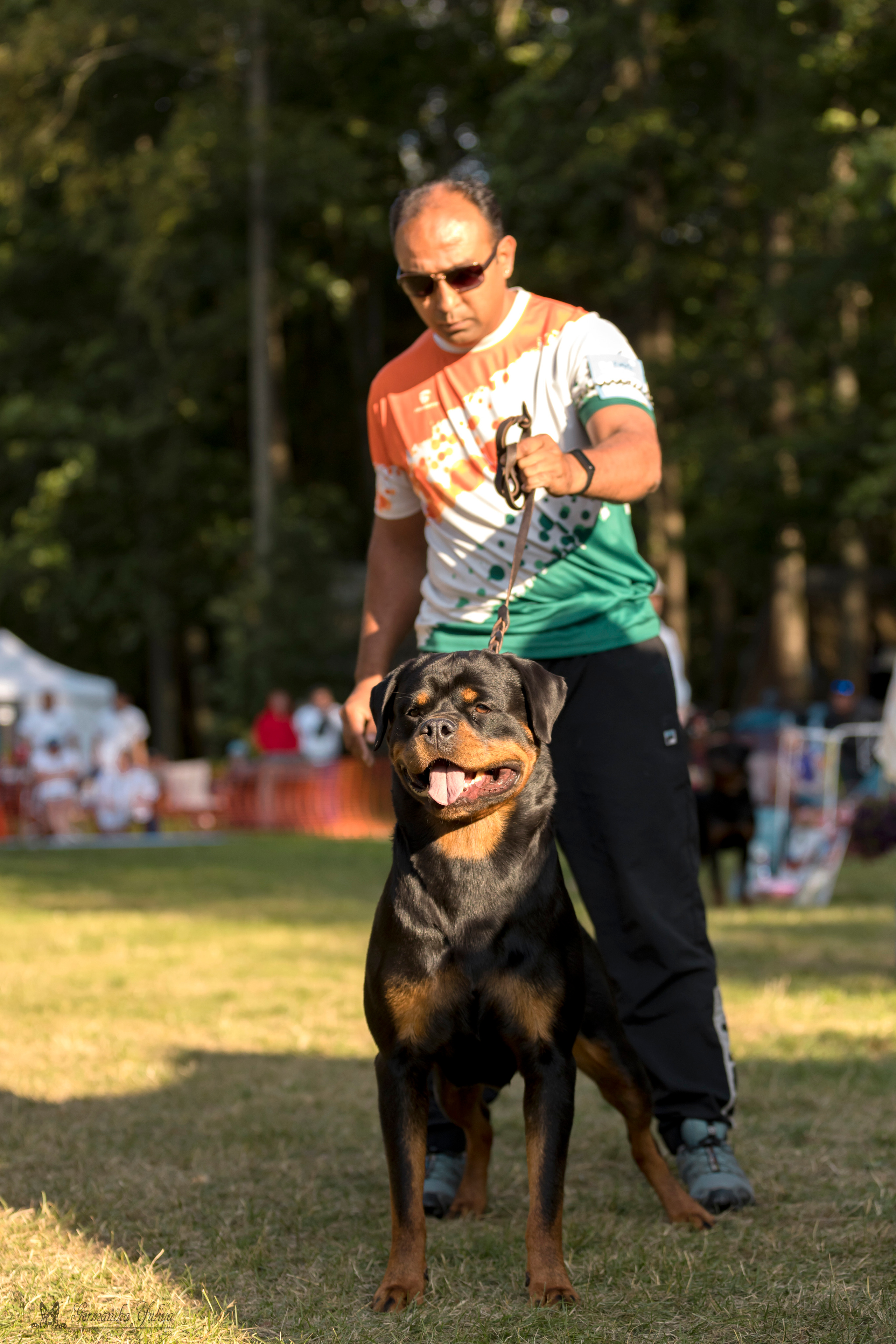 ПК и КЧК ротвейлеров Питер 22-23.07.2023. Фотограф-анималист Юлия Германика