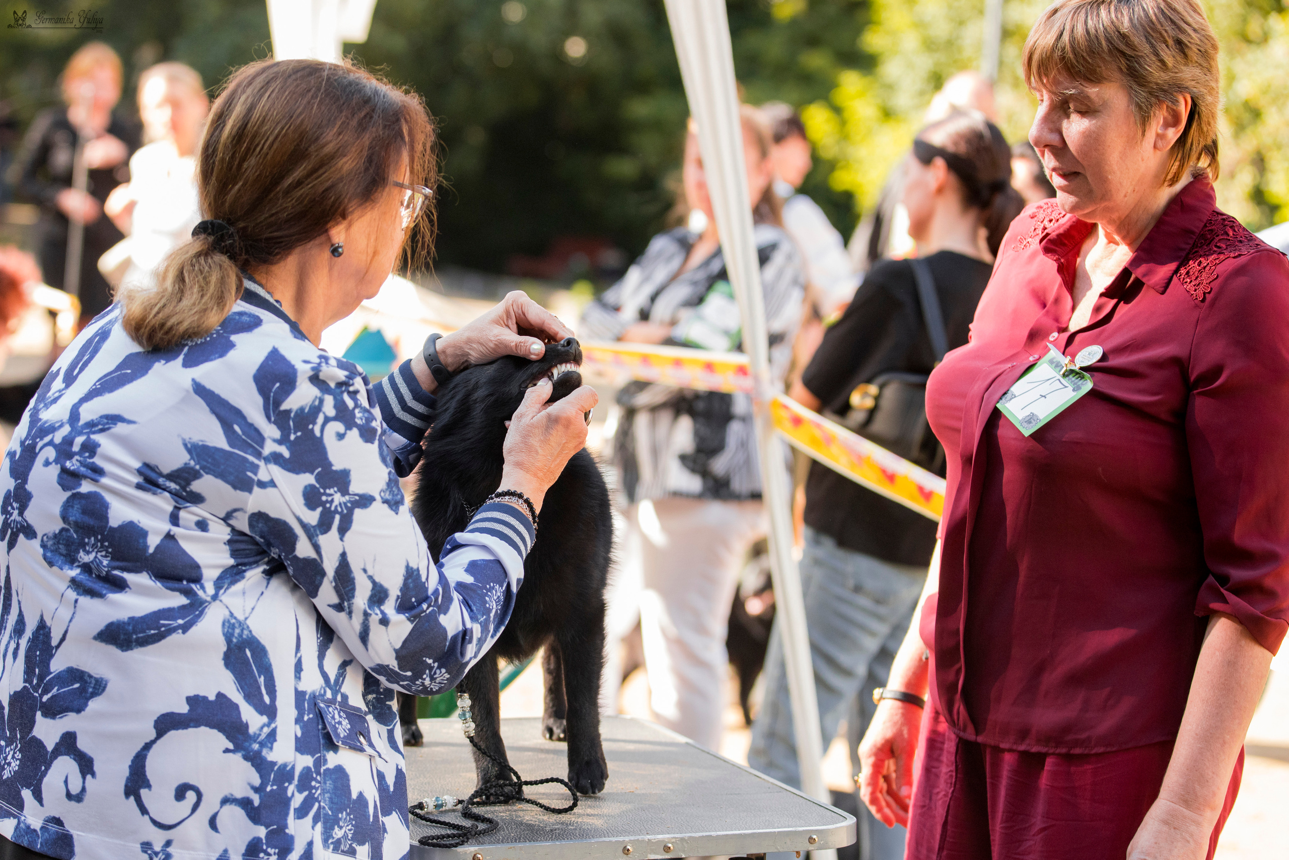 Сфера-Ховрино 29-30.07.2023. Фотограф-анималист Юлия Германика