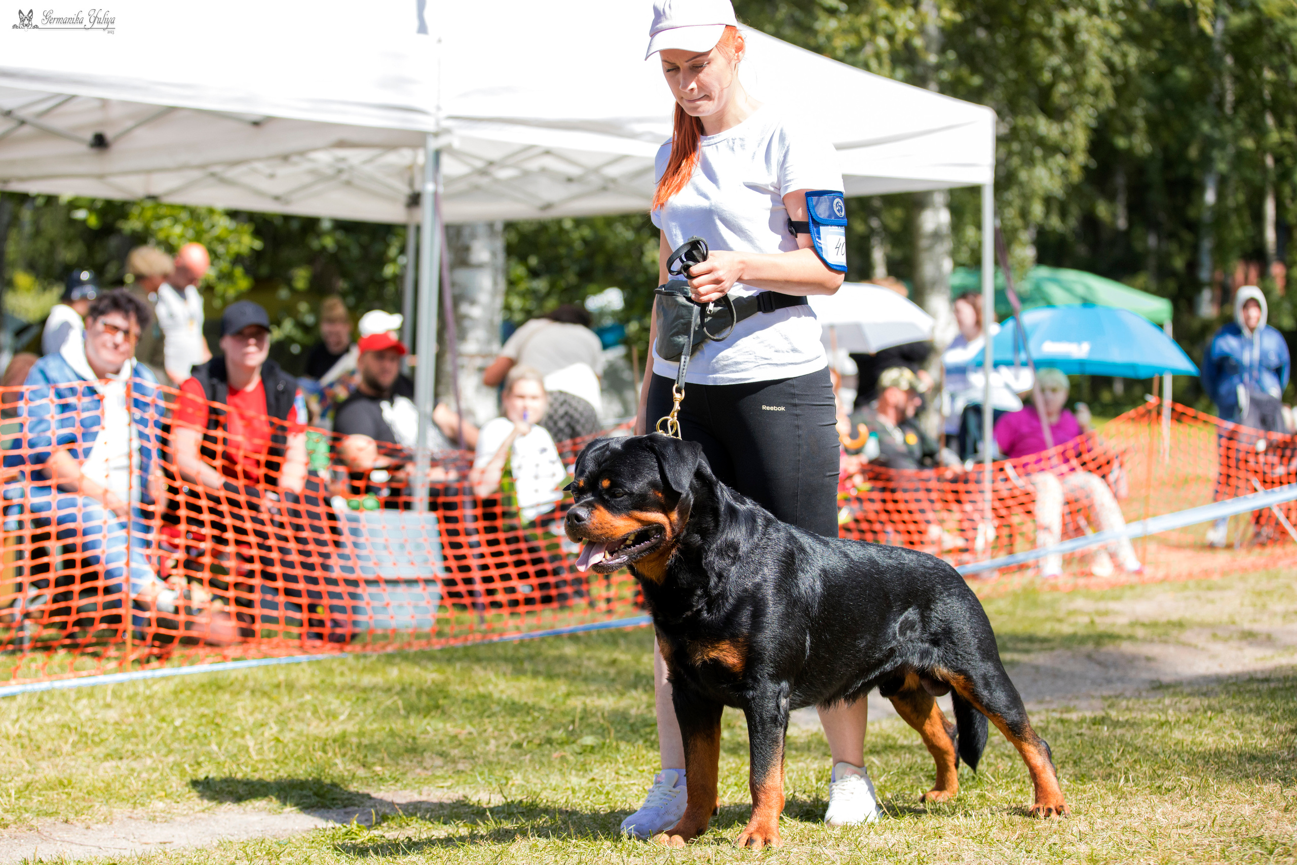 ПК и КЧК ротвейлеров Питер 22-23.07.2023. Фотограф-анималист Юлия Германика