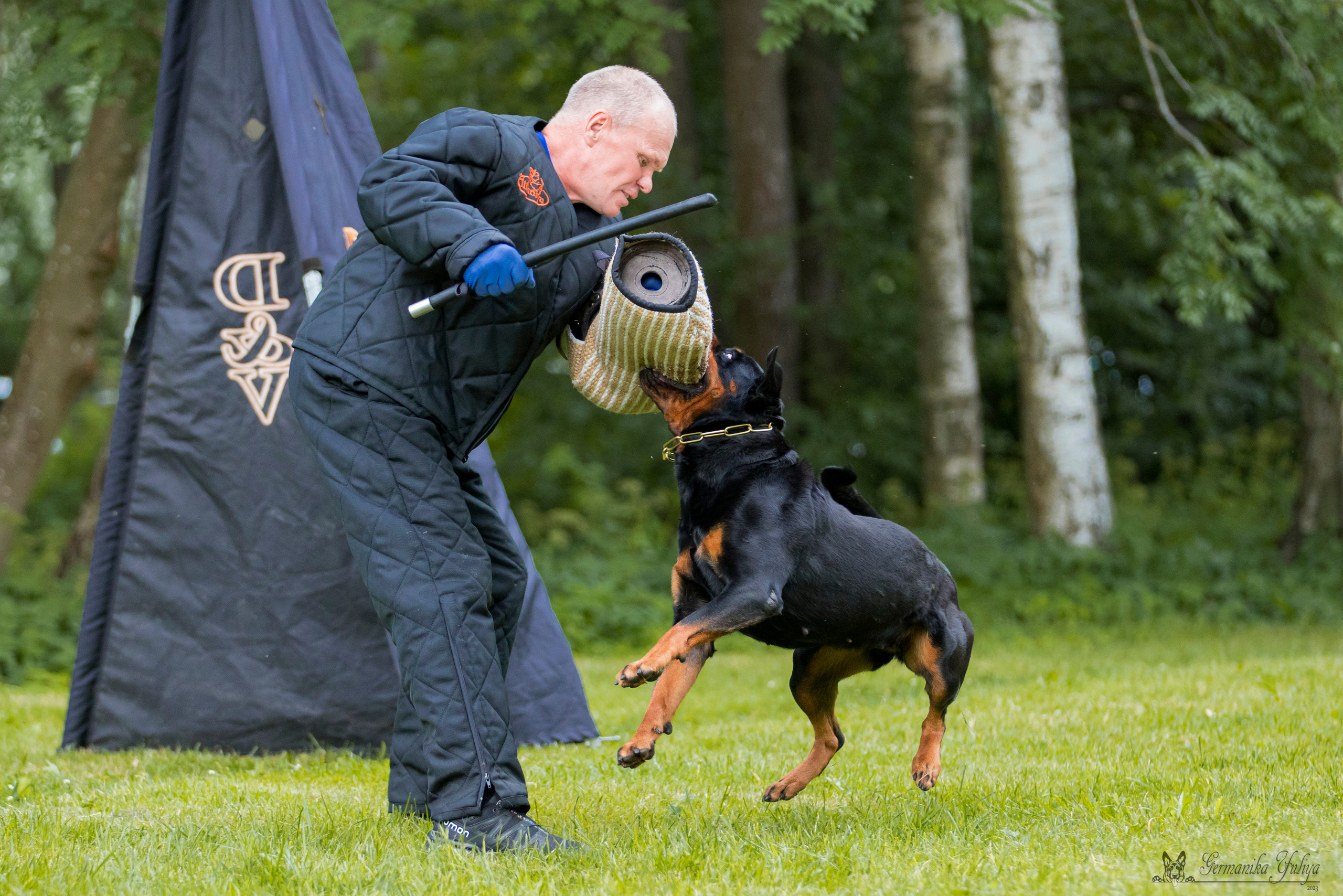 ПК и КЧК ротвейлеров Питер 22-23.07.2023. Фотограф-анималист Юлия Германика