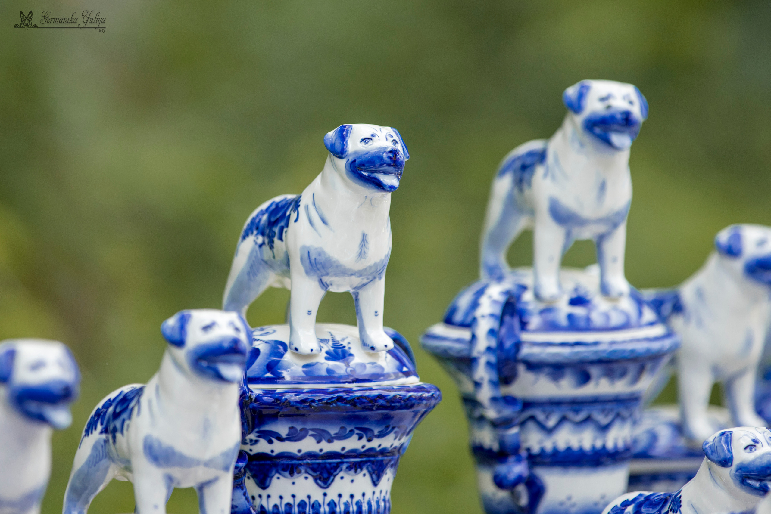 ПК и КЧК ротвейлеров Питер 22-23.07.2023. Фотограф-анималист Юлия Германика