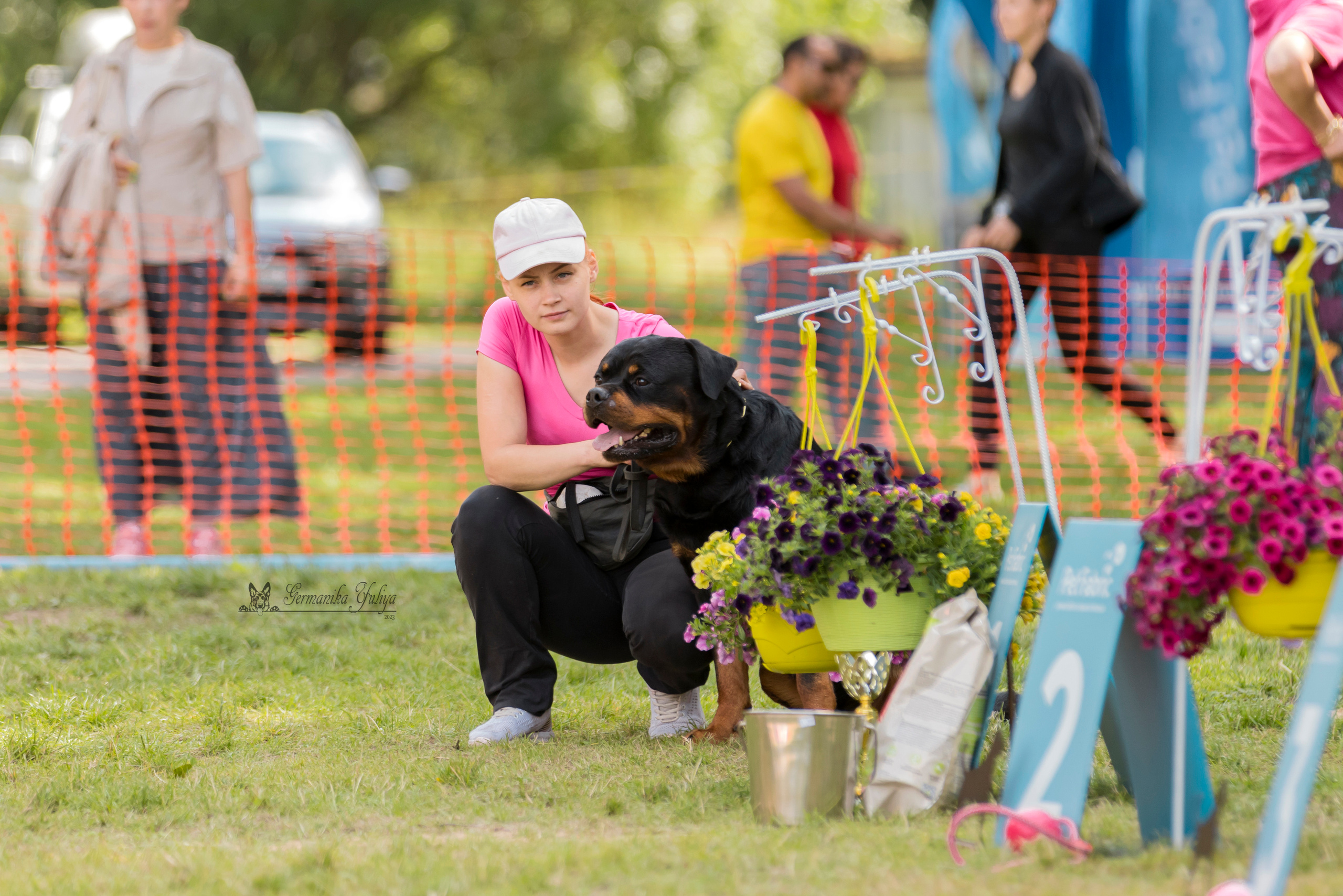 ПК и КЧК ротвейлеров Питер 22-23.07.2023. Фотограф-анималист Юлия Германика