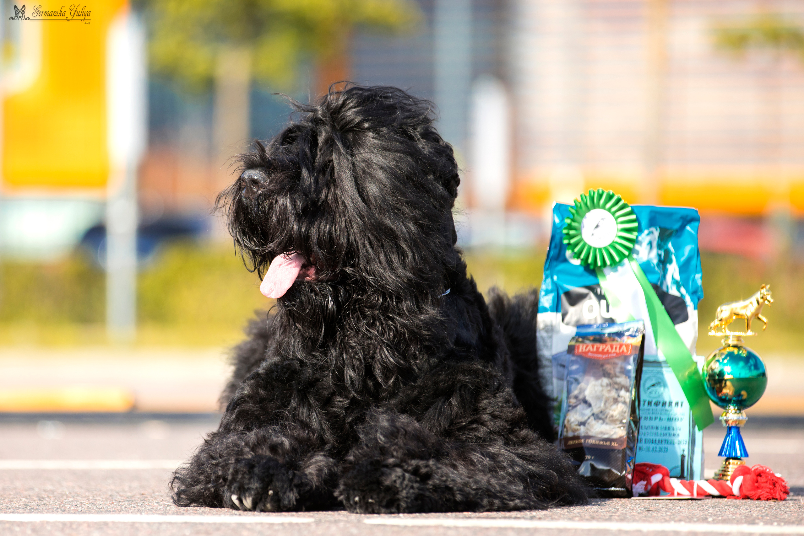 Питер 2-3.09.2023. Фотограф-анималист Юлия Германика