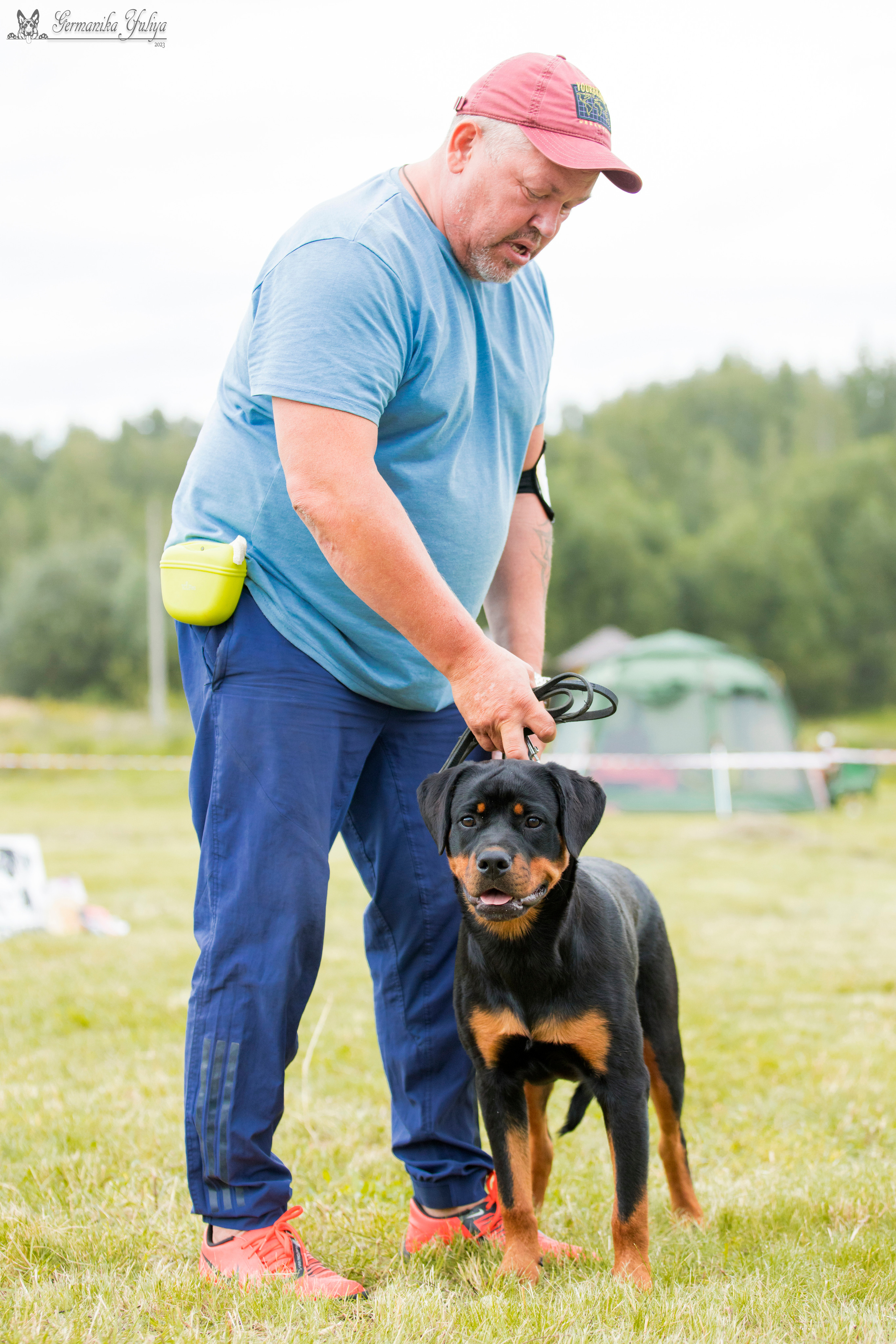 Рязань моно ротвейлеров 12.08.2023. Фотограф-анималист Юлия Германика