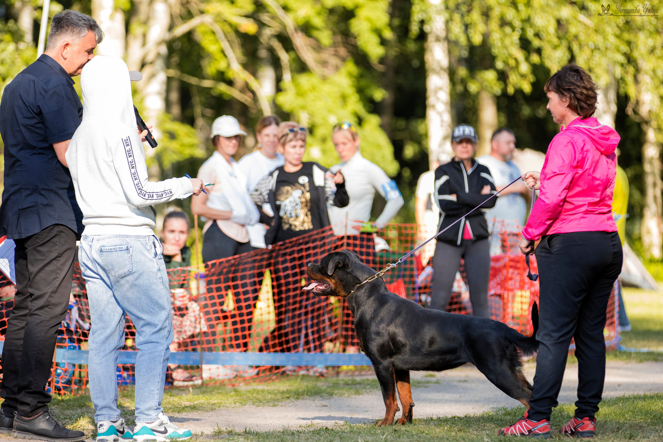 ПК и КЧК ротвейлеров Питер 22-23.07.2023. Фотограф-анималист Юлия Германика