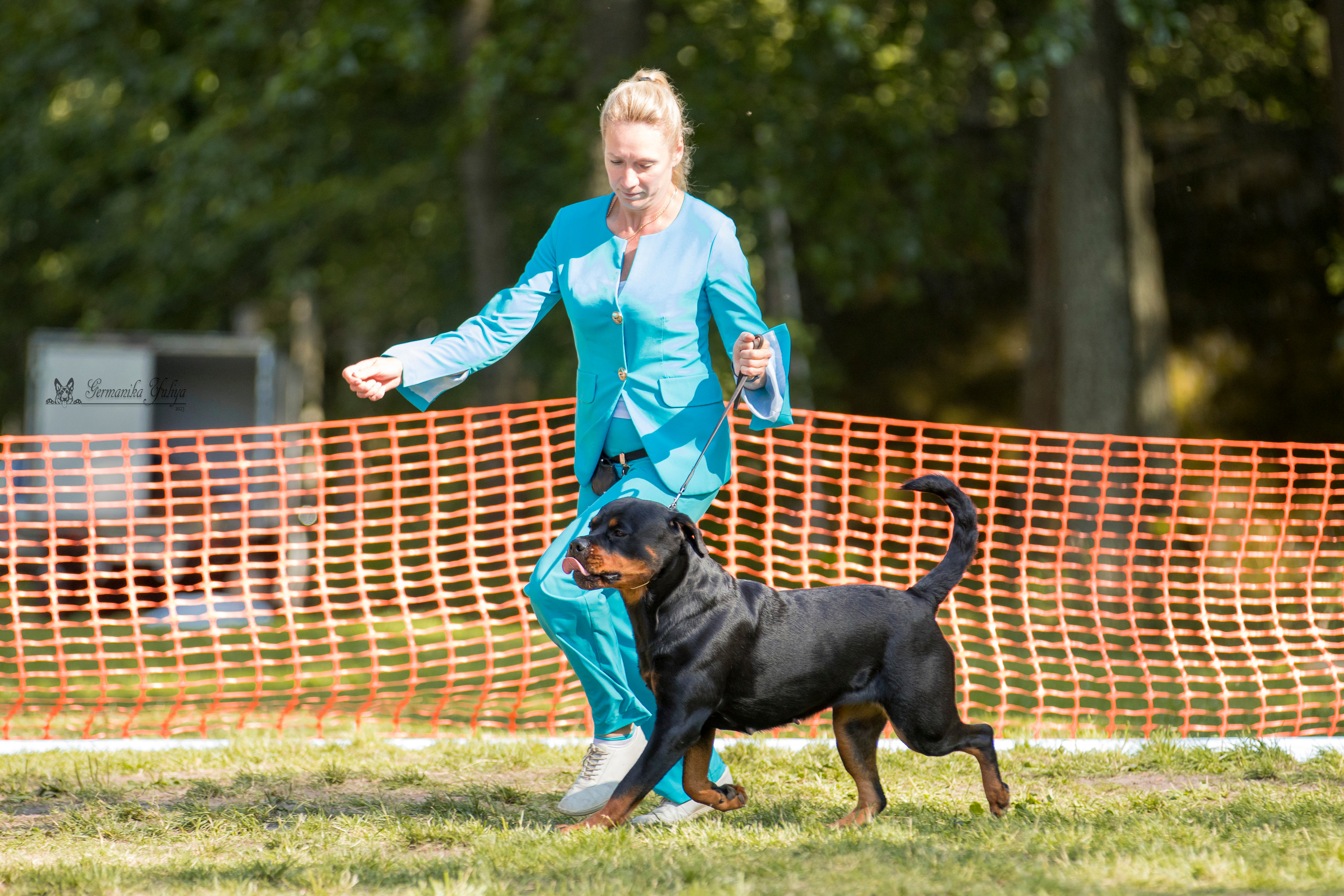 ПК и КЧК ротвейлеров Питер 22-23.07.2023. Фотограф-анималист Юлия Германика