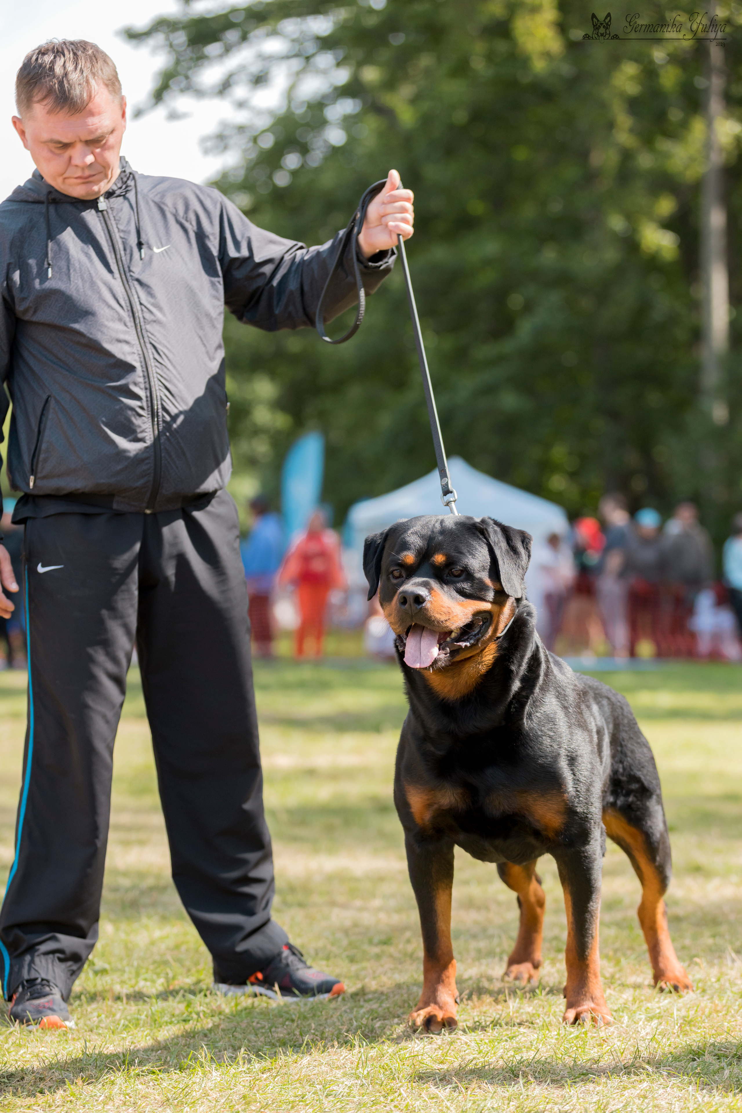 ПК и КЧК ротвейлеров Питер 22-23.07.2023. Фотограф-анималист Юлия Германика