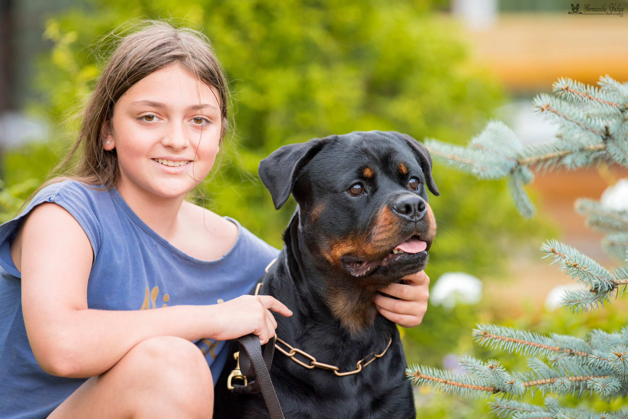 Рязань моно ротвейлеров 12.08.2023. Фотограф-анималист Юлия Германика