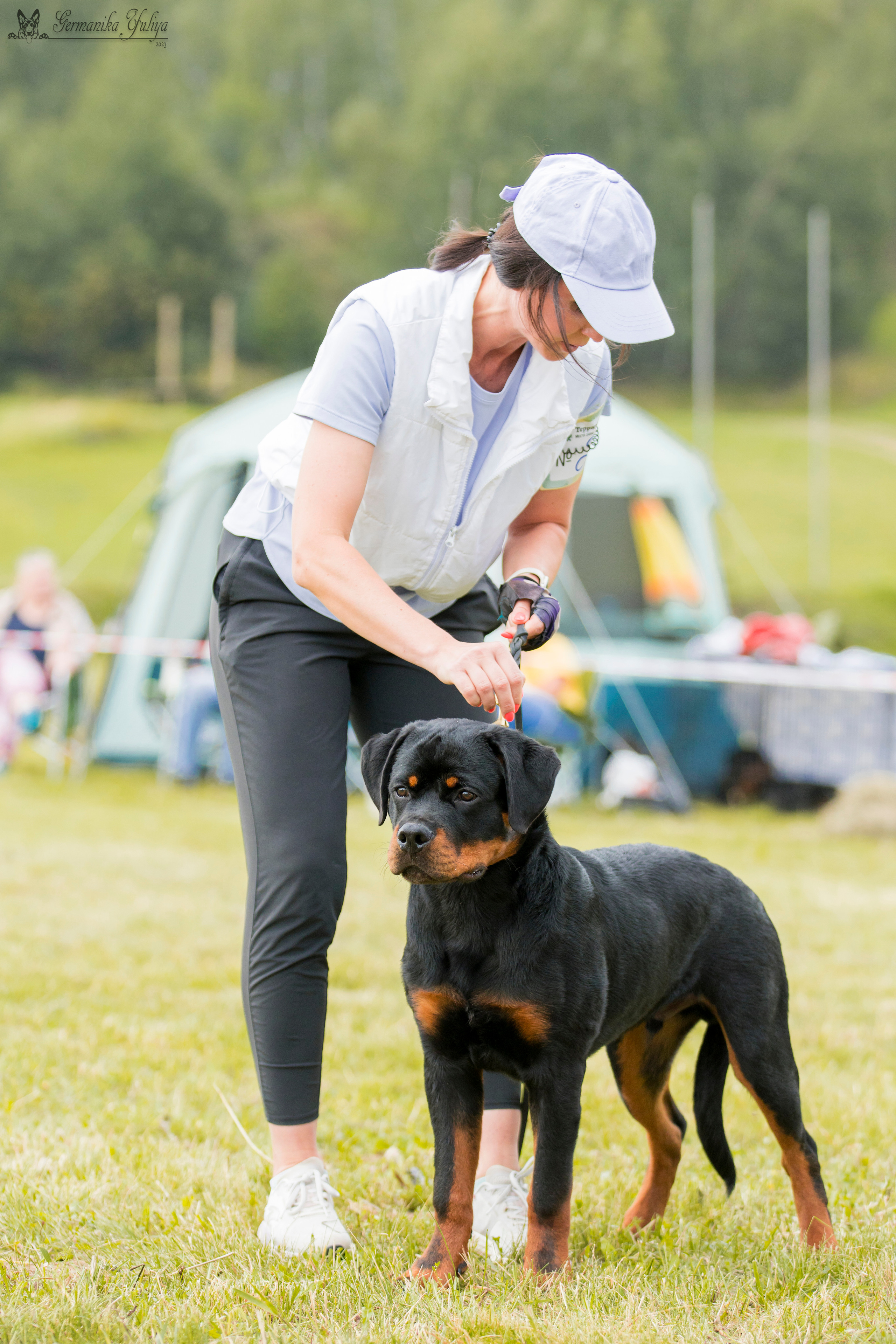 Рязань моно ротвейлеров 12.08.2023. Фотограф-анималист Юлия Германика