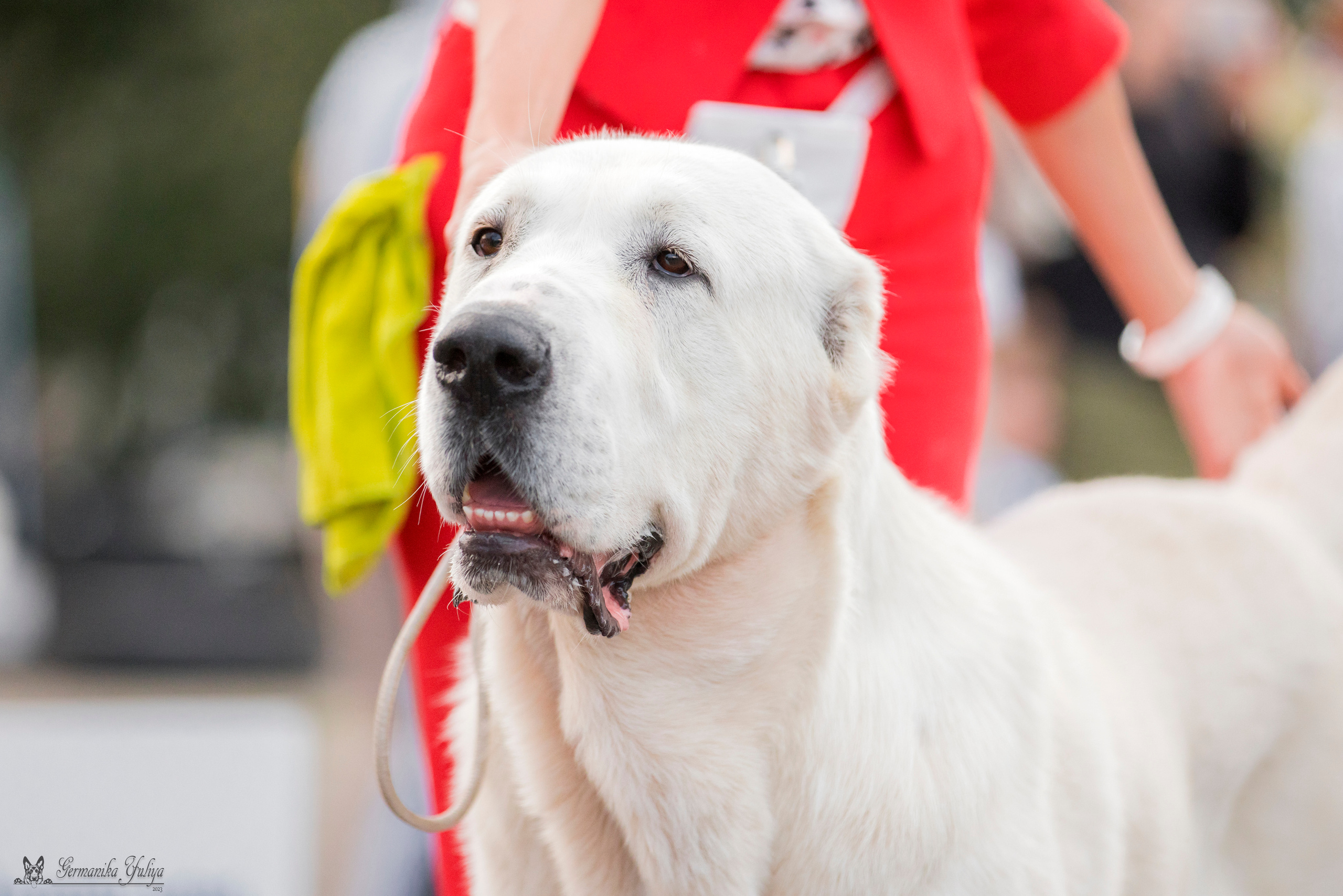 Рязань 12.08.и Пушкино 19.08.2023