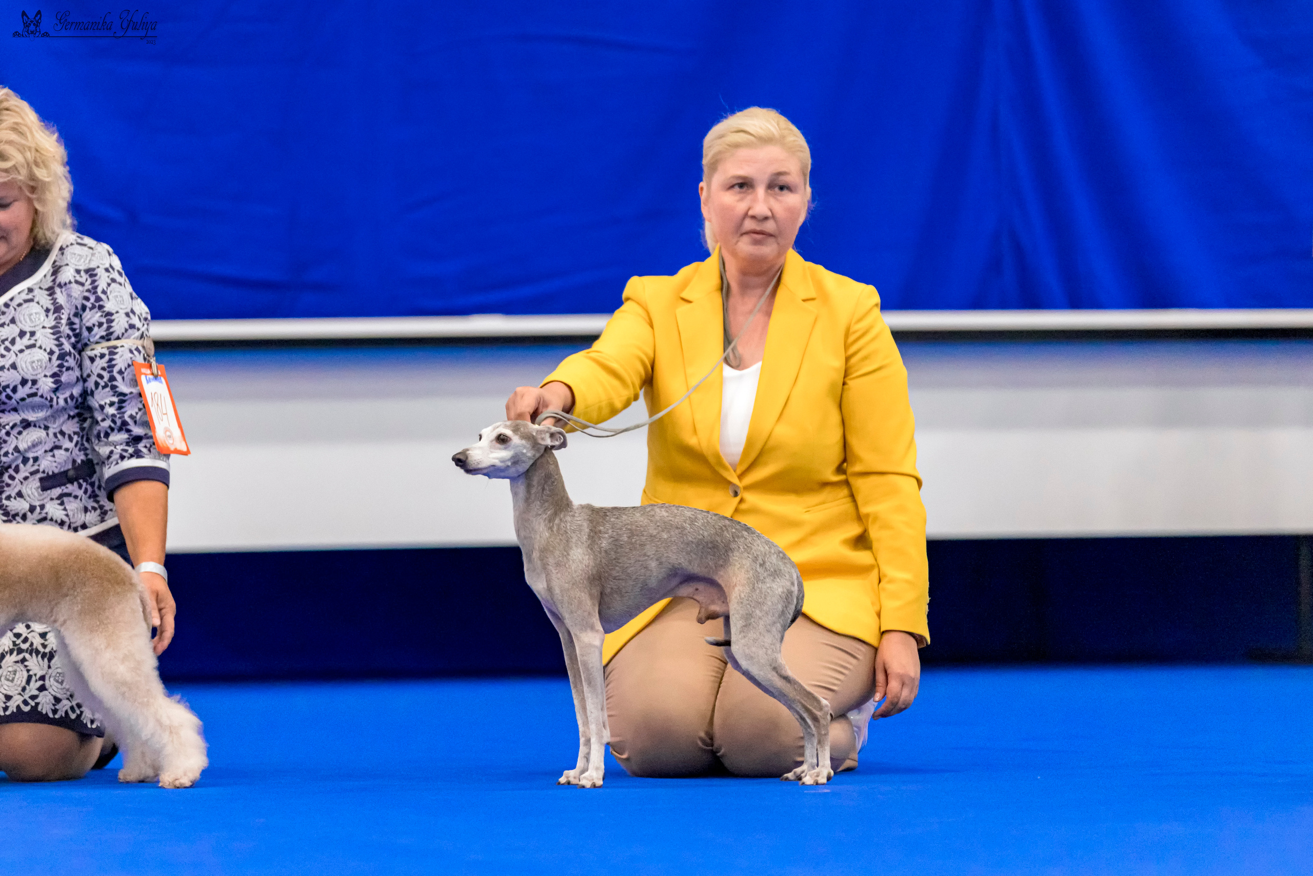 Питер 2-3.09.2023. Фотограф-анималист Юлия Германика