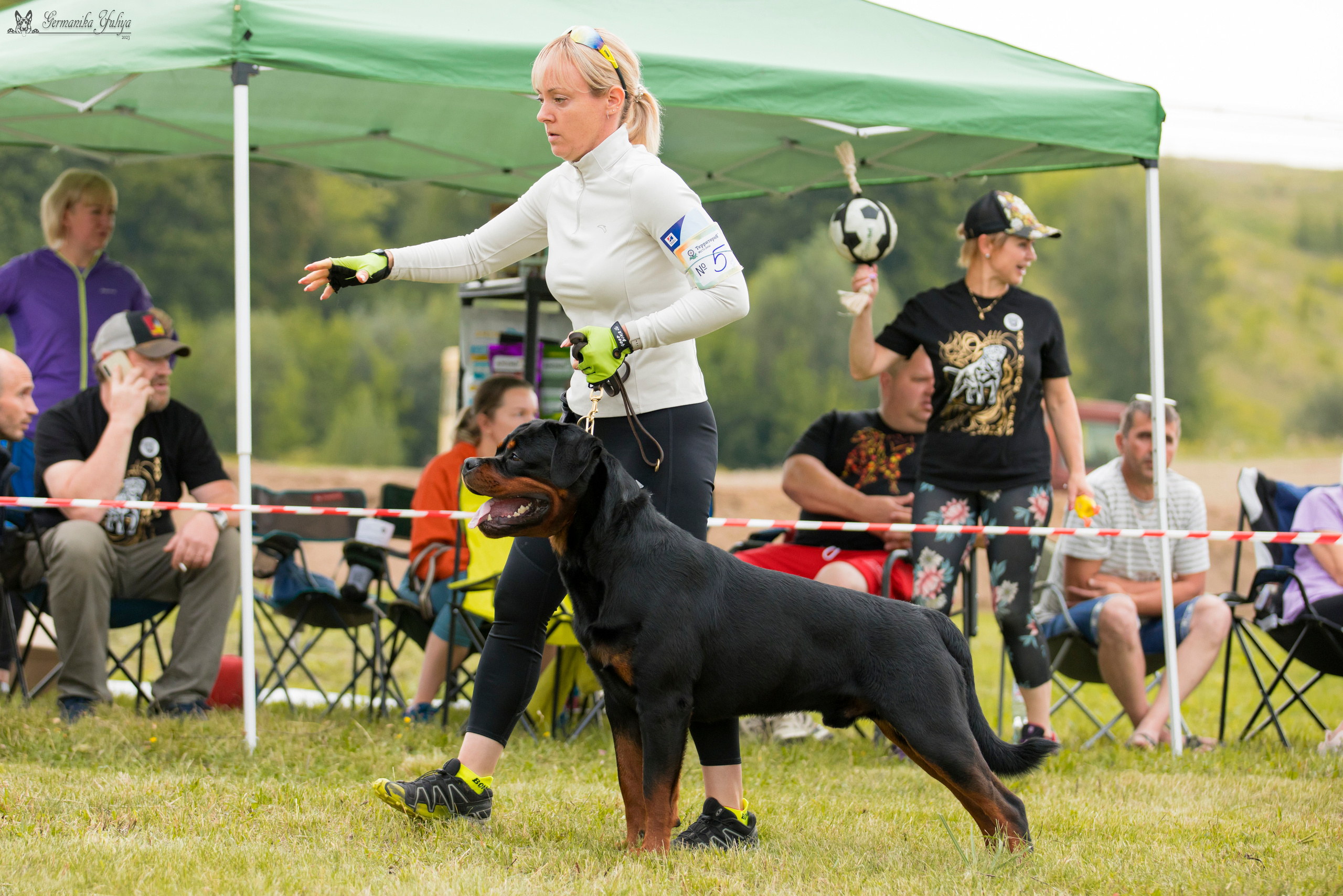 Рязань моно ротвейлеров 12.08.2023. Фотограф-анималист Юлия Германика