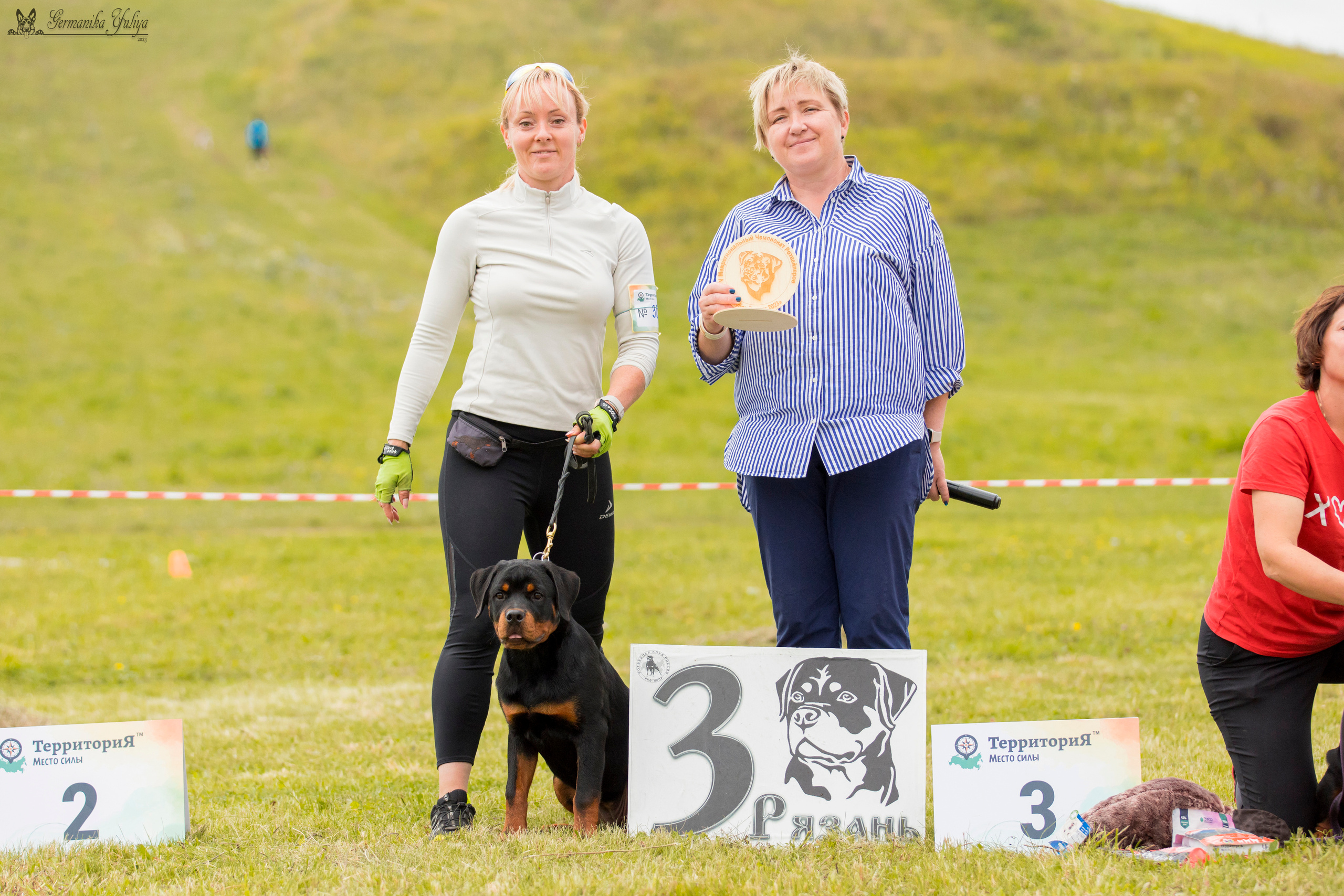 Рязань моно ротвейлеров 12.08.2023. Фотограф-анималист Юлия Германика