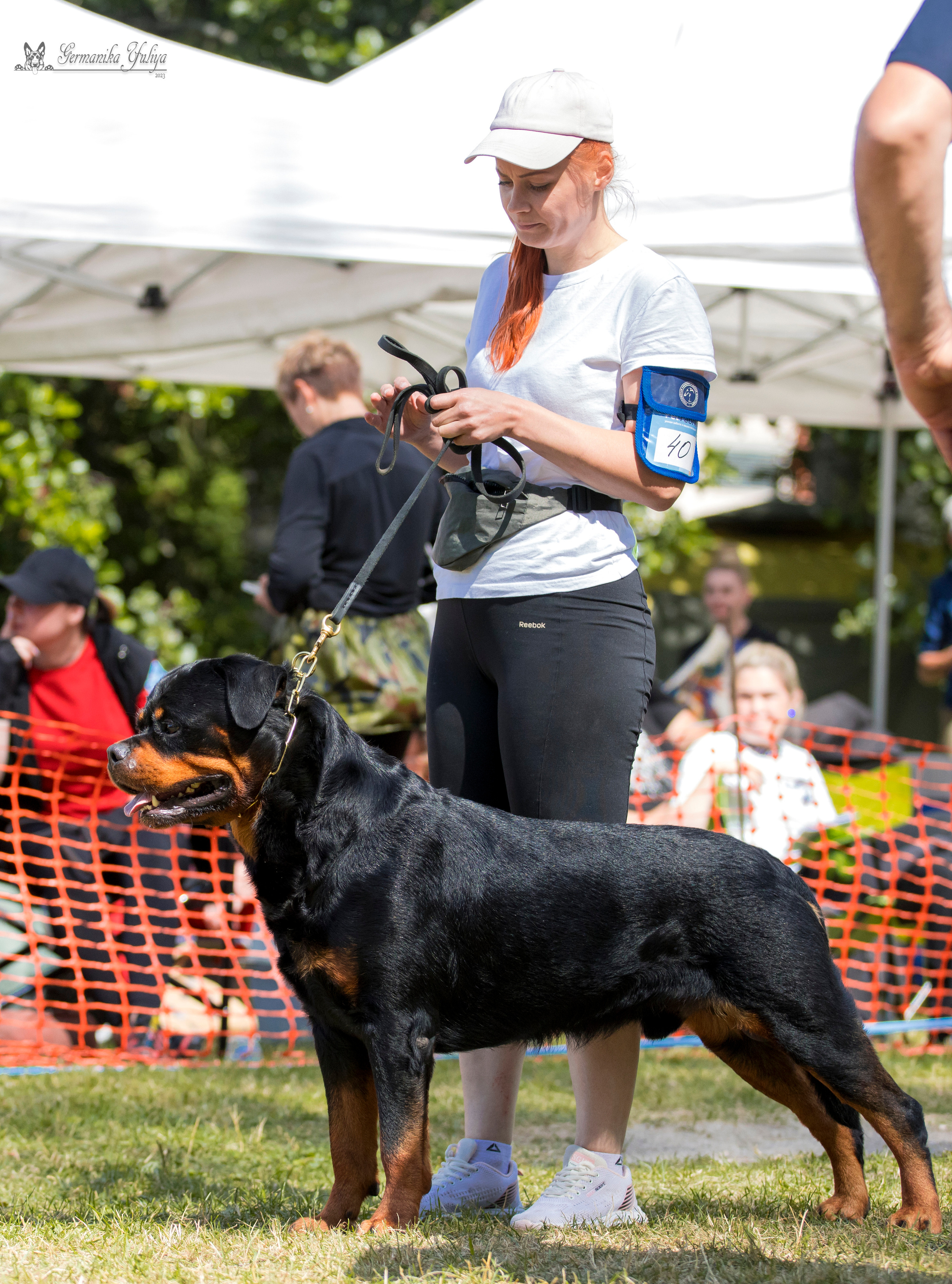 ПК и КЧК ротвейлеров Питер 22-23.07.2023. Фотограф-анималист Юлия Германика