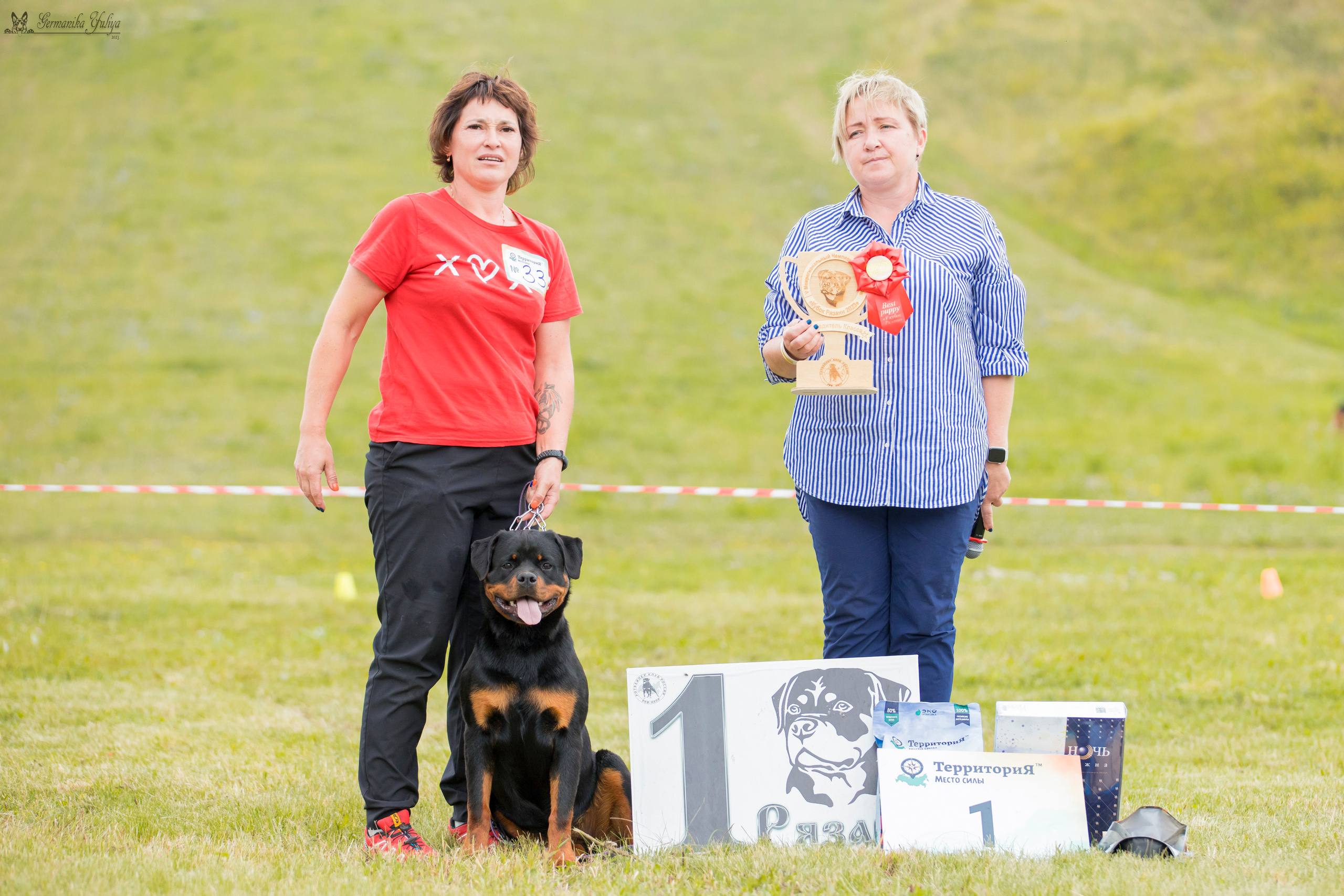 Рязань моно ротвейлеров 12.08.2023. Фотограф-анималист Юлия Германика