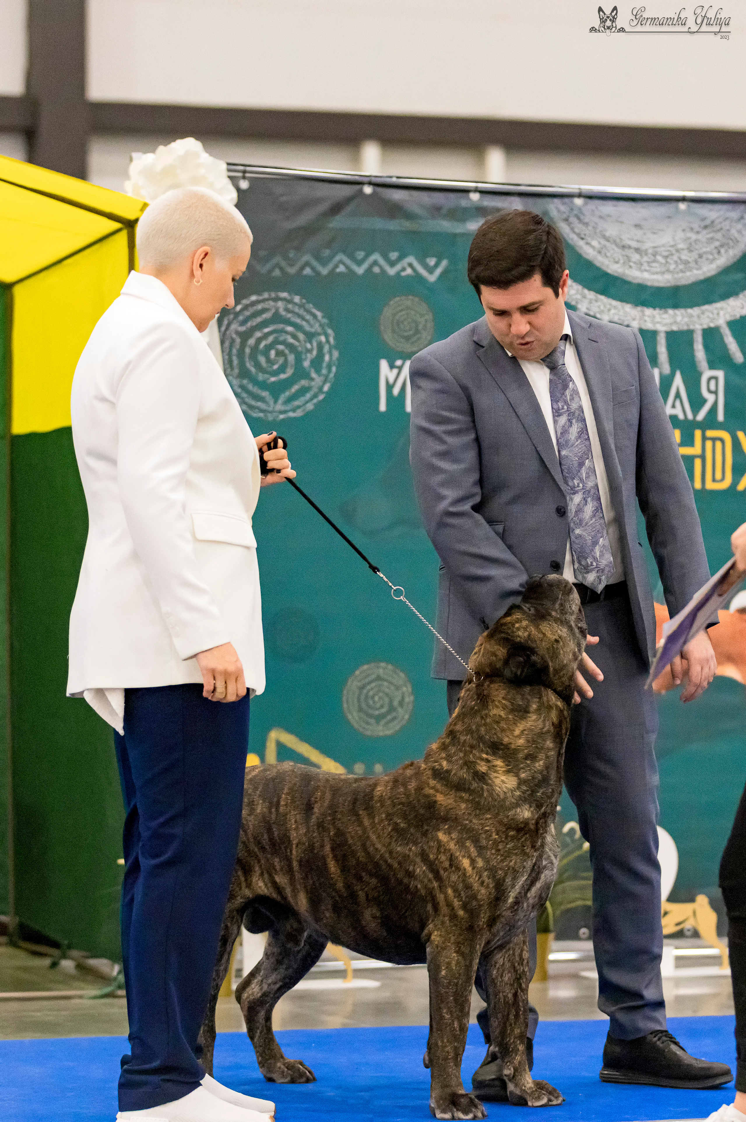 Питер 2-3.09.2023. Фотограф-анималист Юлия Германика