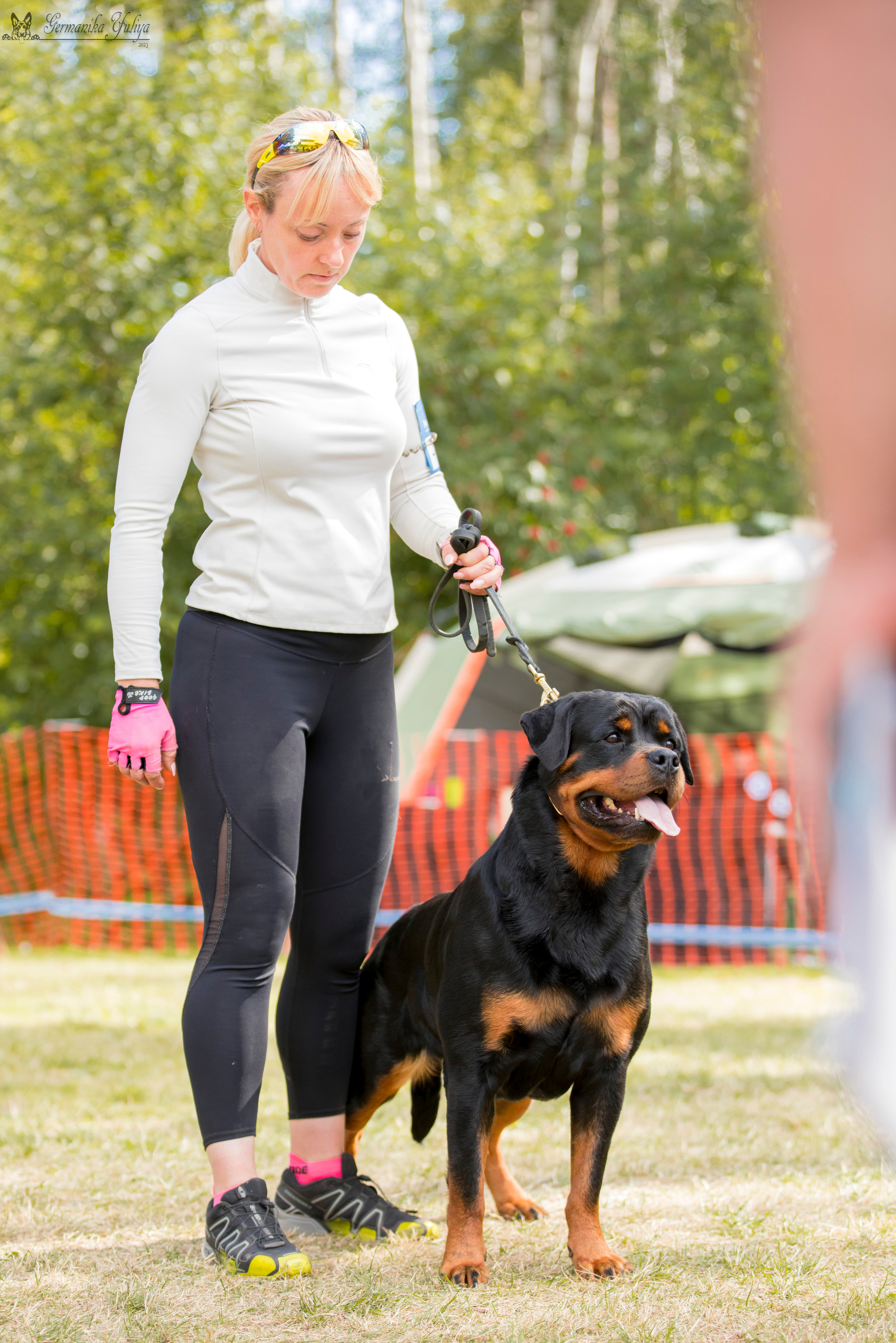 ПК и КЧК ротвейлеров Питер 22-23.07.2023. Фотограф-анималист Юлия Германика
