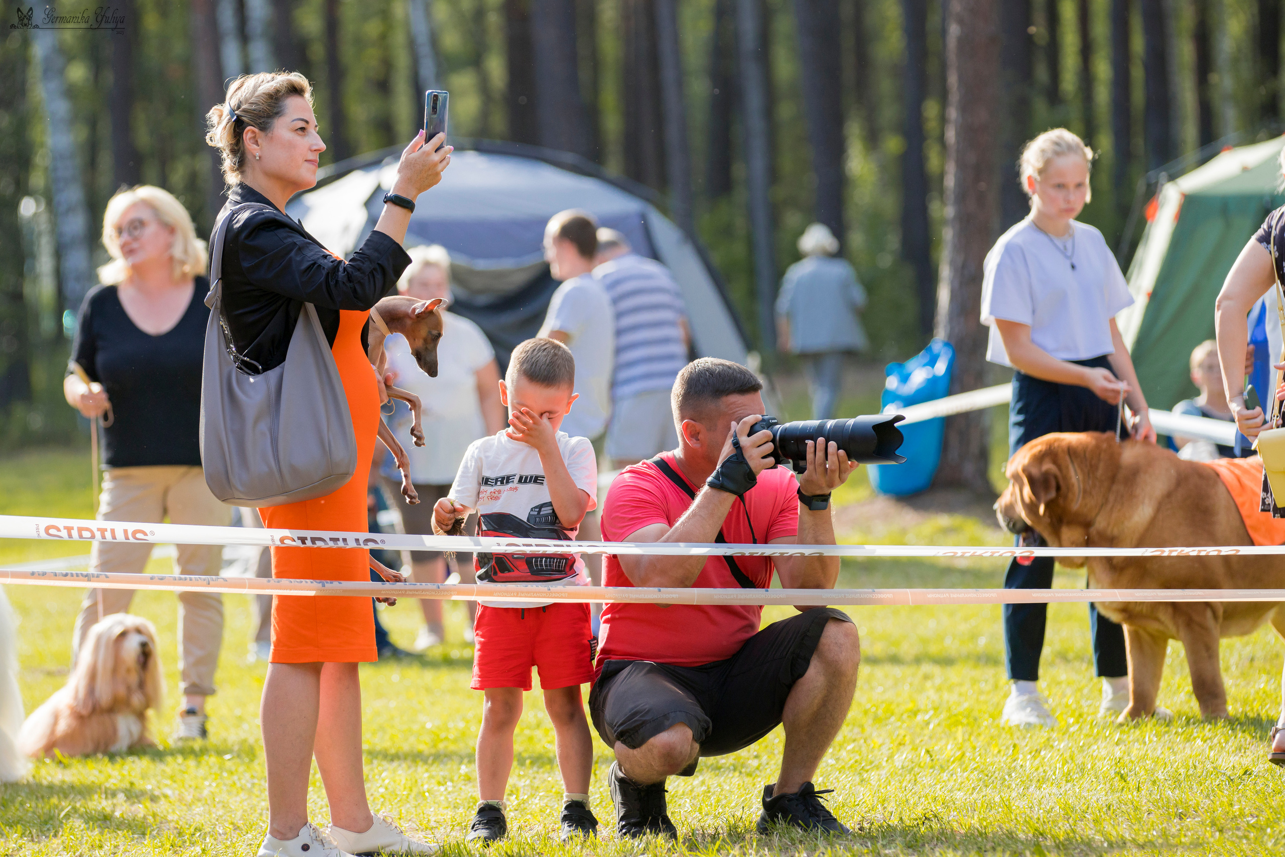 Крокус,Псков 5-6.08.2023. Фотограф-анималист Юлия Германика