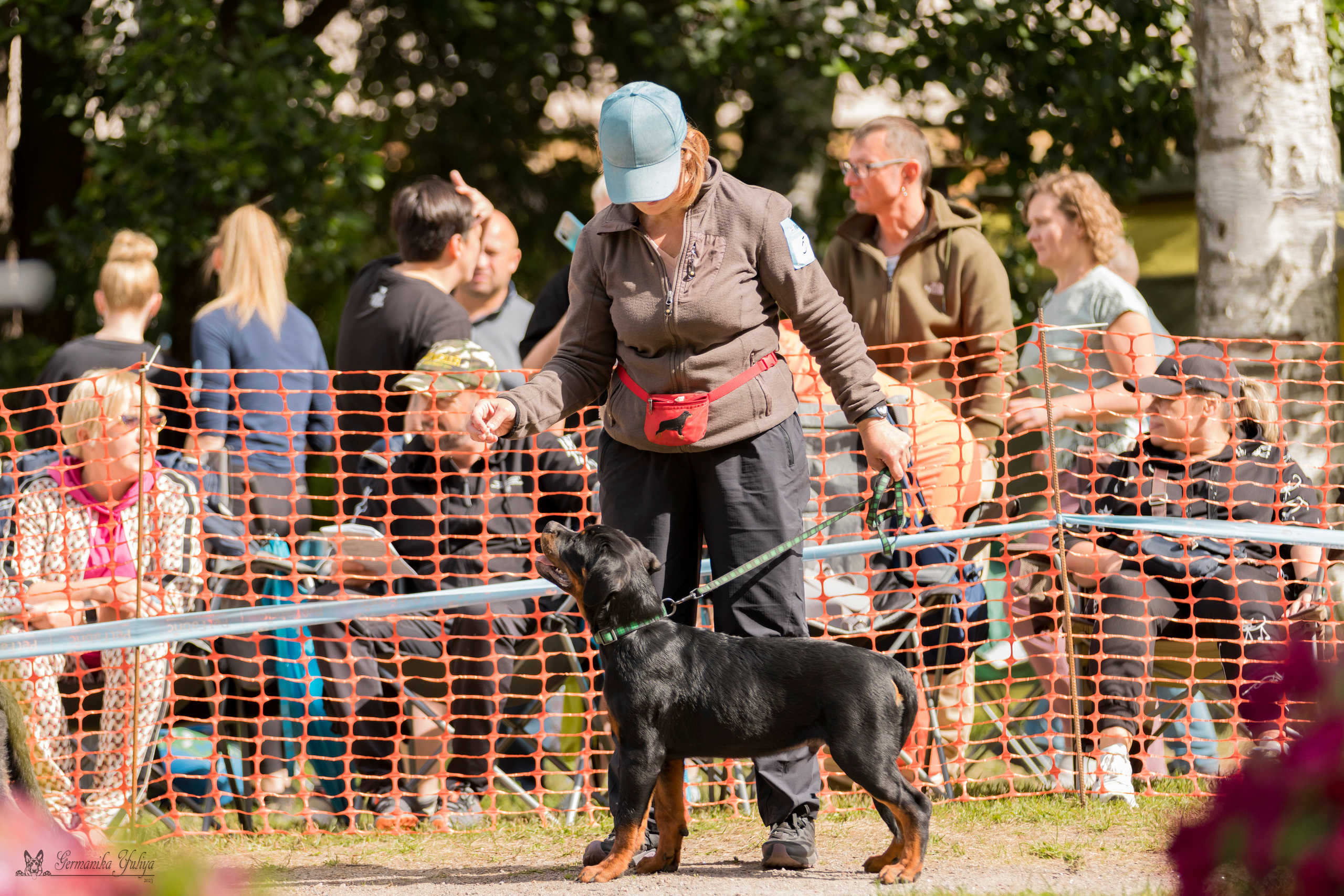 ПК и КЧК ротвейлеров Питер 22-23.07.2023. Фотограф-анималист Юлия Германика