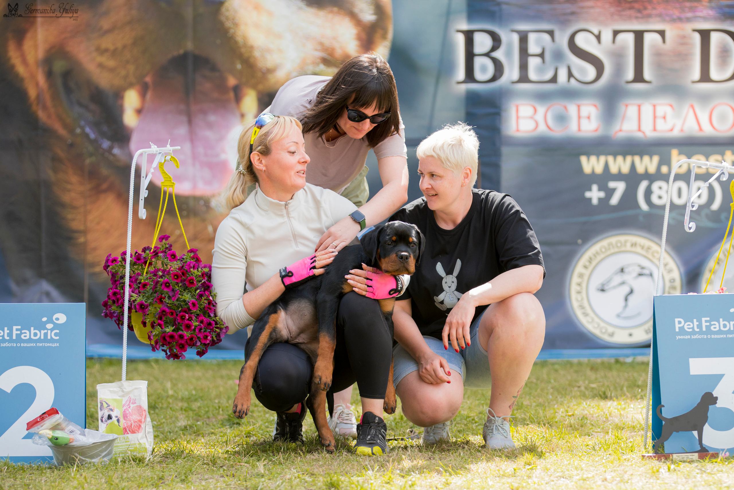 ПК и КЧК ротвейлеров Питер 22-23.07.2023. Фотограф-анималист Юлия Германика