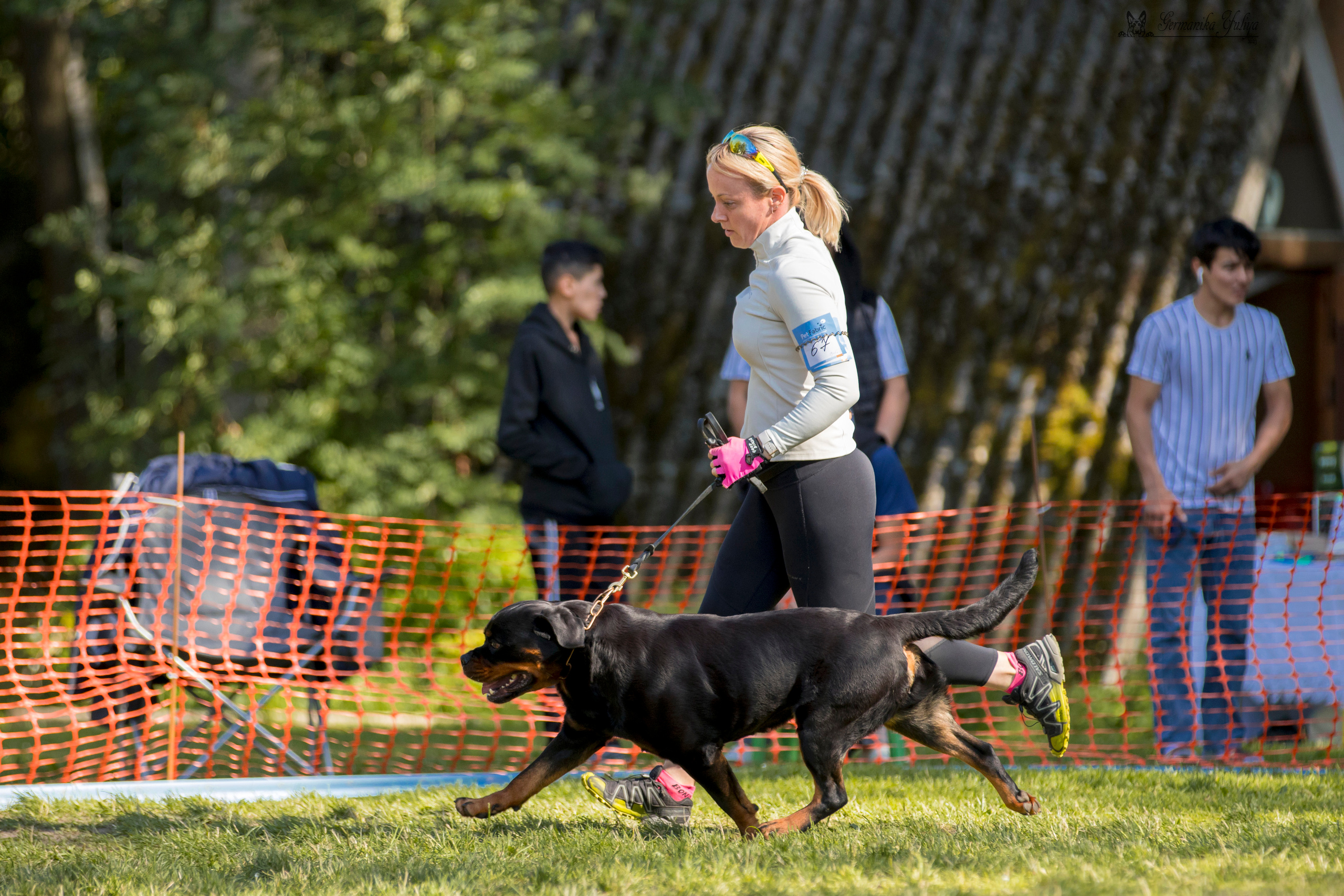 ПК и КЧК ротвейлеров Питер 22-23.07.2023. Фотограф-анималист Юлия Германика