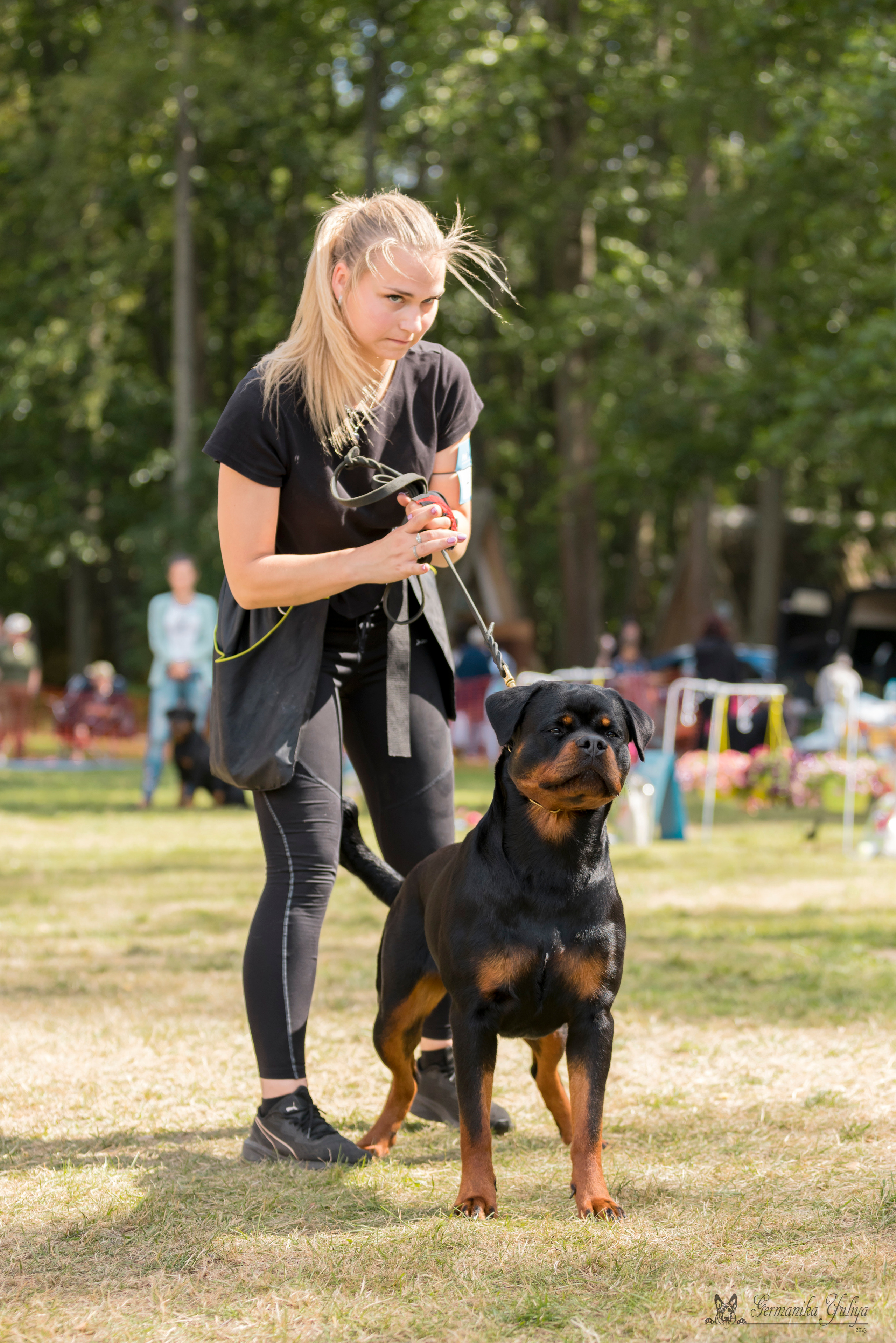 ПК и КЧК ротвейлеров Питер 22-23.07.2023. Фотограф-анималист Юлия Германика