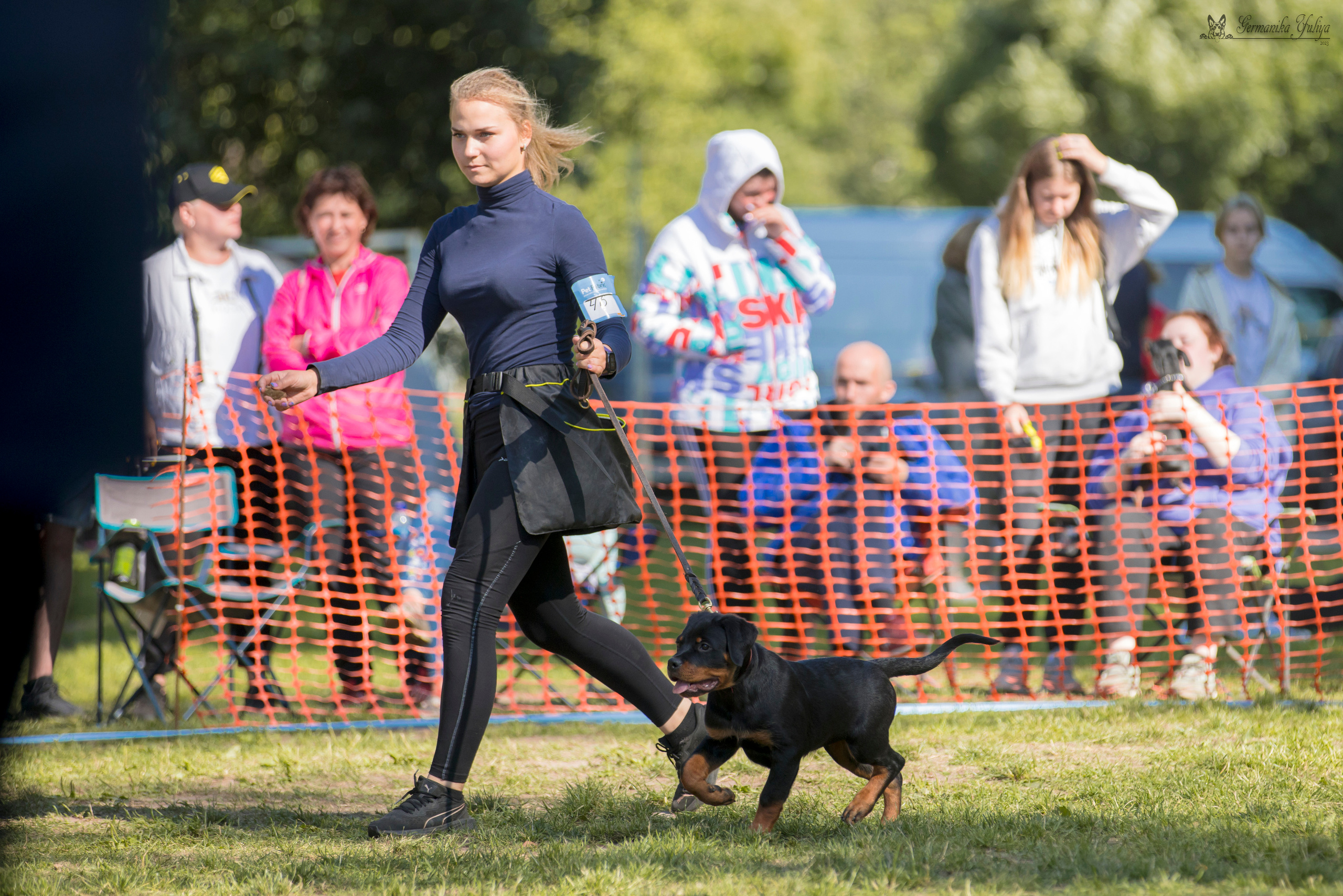 ПК и КЧК ротвейлеров Питер 22-23.07.2023. Фотограф-анималист Юлия Германика