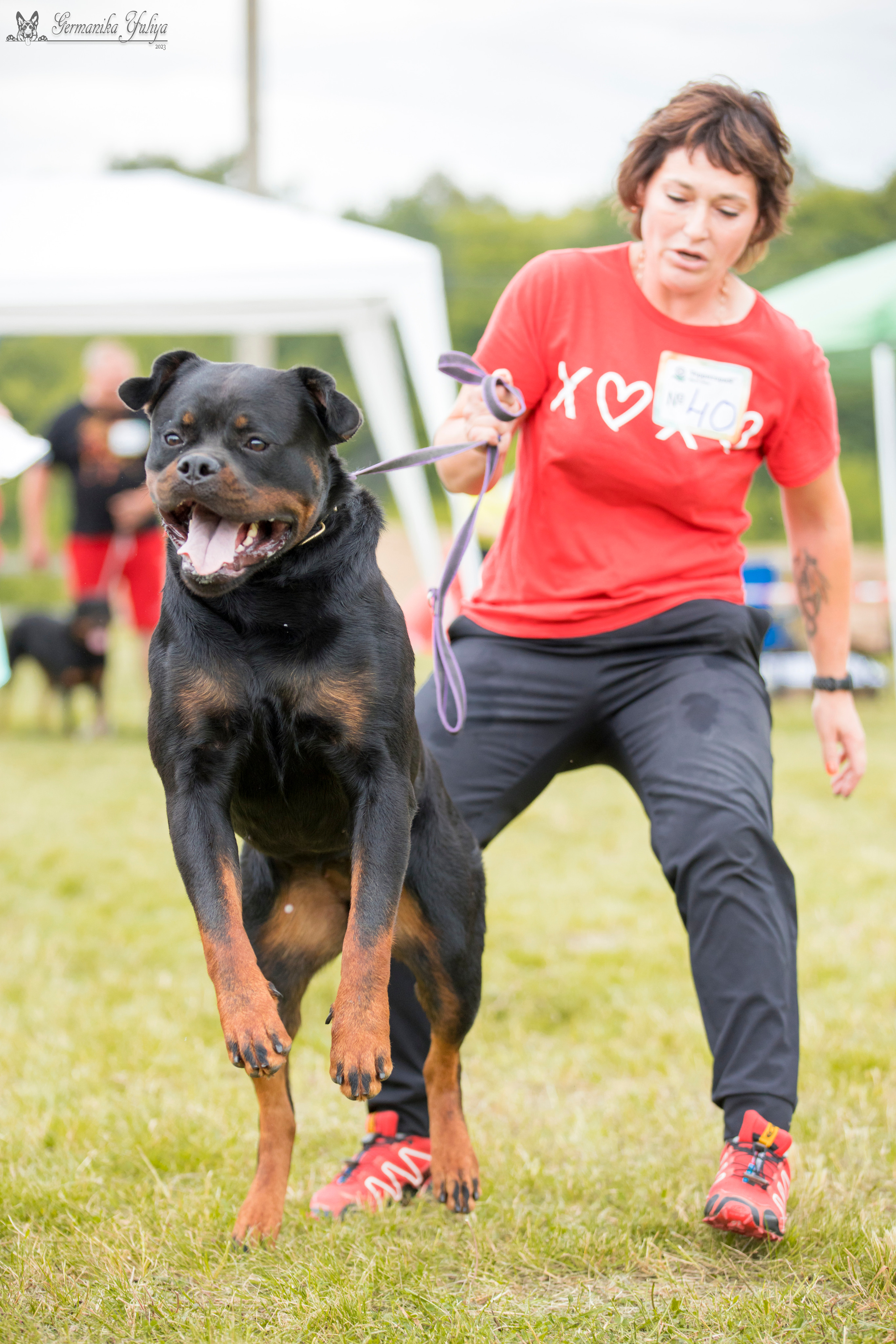 Рязань моно ротвейлеров 12.08.2023. Фотограф-анималист Юлия Германика