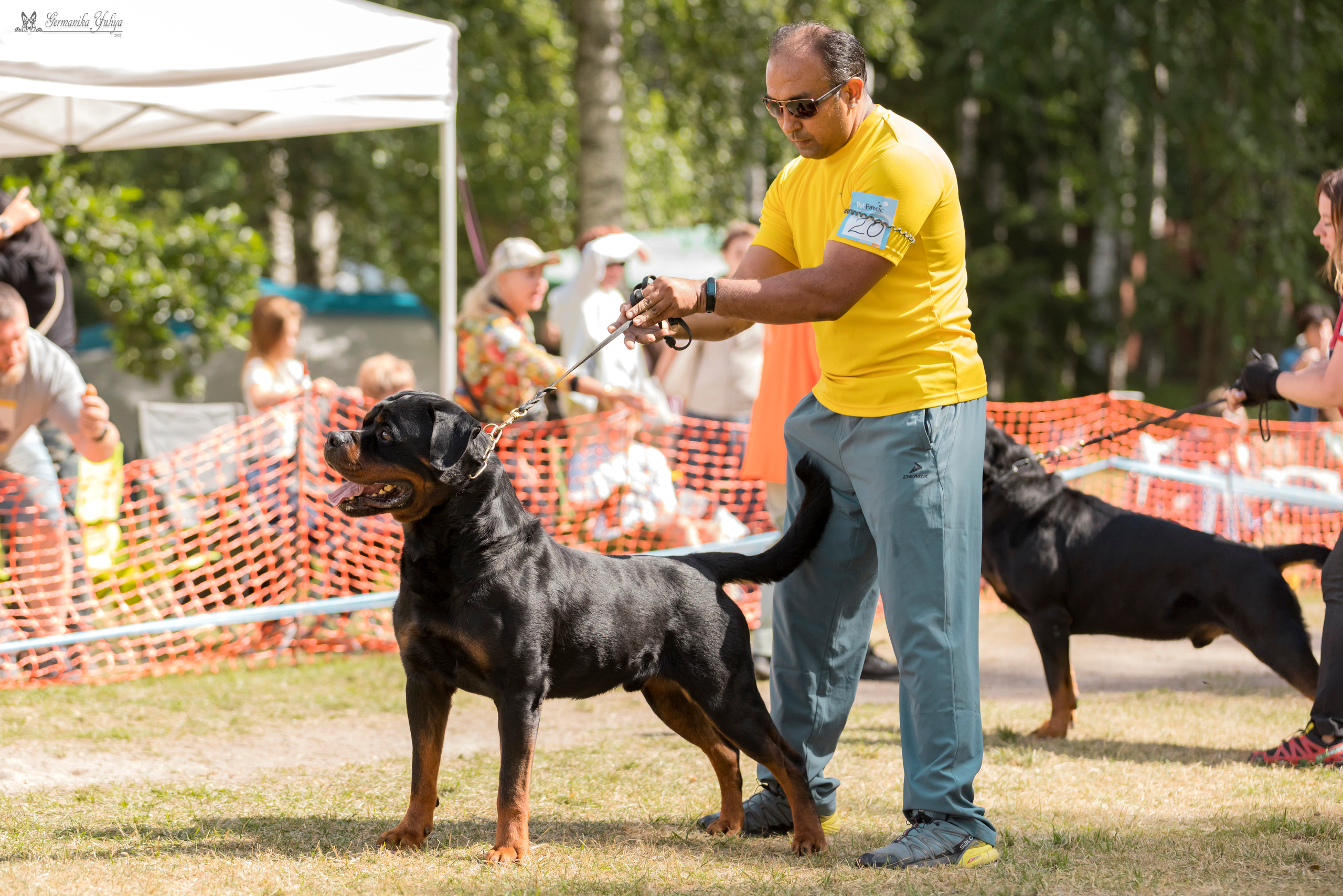 ПК и КЧК ротвейлеров Питер 22-23.07.2023. Фотограф-анималист Юлия Германика
