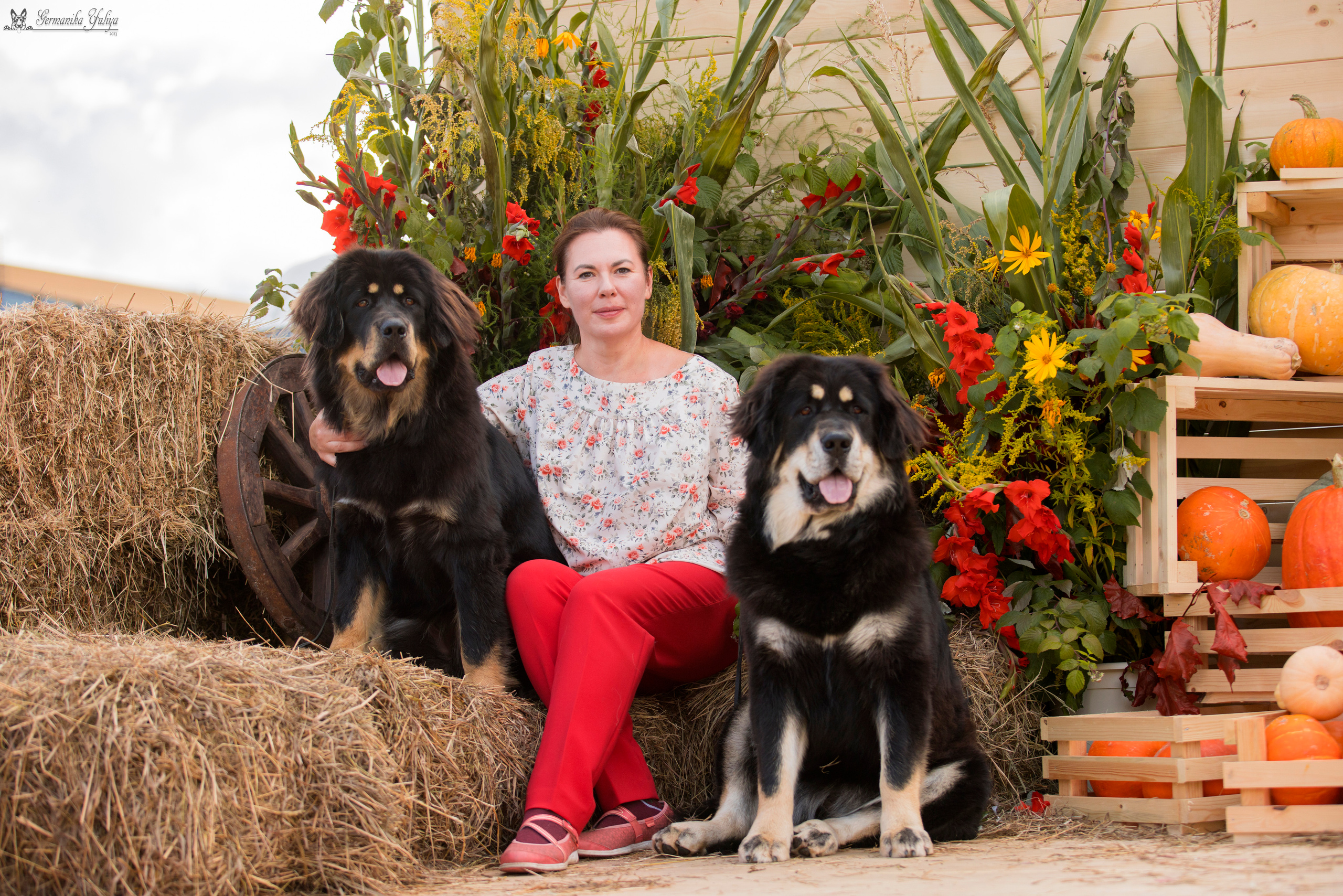 Питер 2-3.09.2023. Фотограф-анималист Юлия Германика