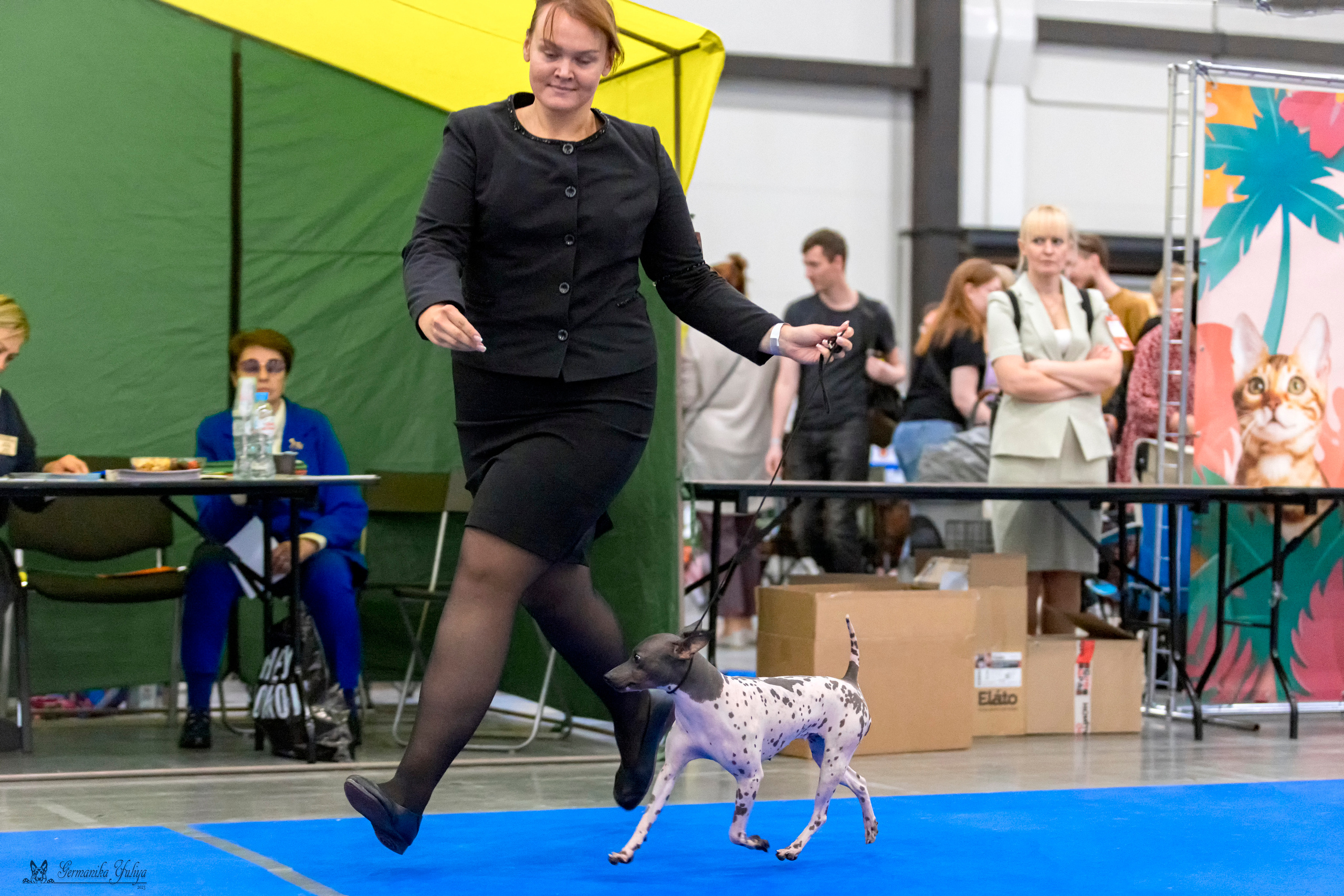 Питер 2-3.09.2023. Фотограф-анималист Юлия Германика