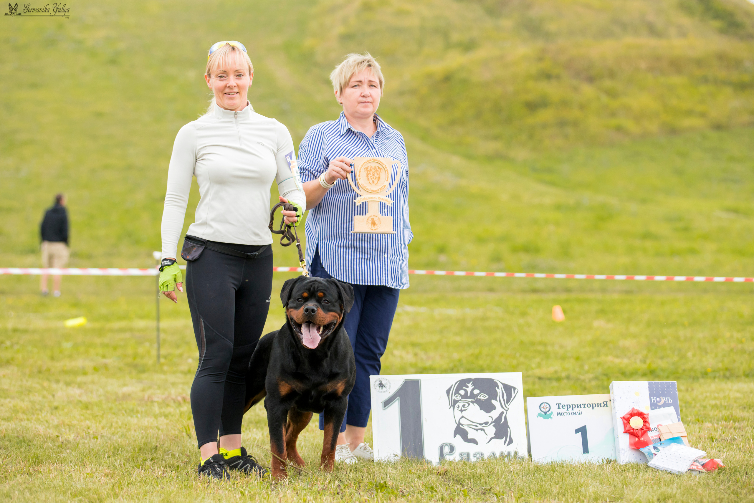 Рязань моно ротвейлеров 12.08.2023. Фотограф-анималист Юлия Германика