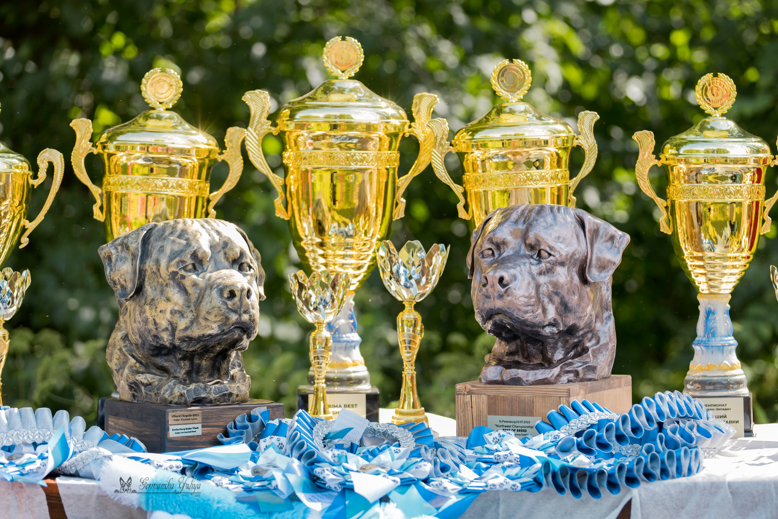 ПК и КЧК ротвейлеров Питер 22-23.07.2023. Фотограф-анималист Юлия Германика