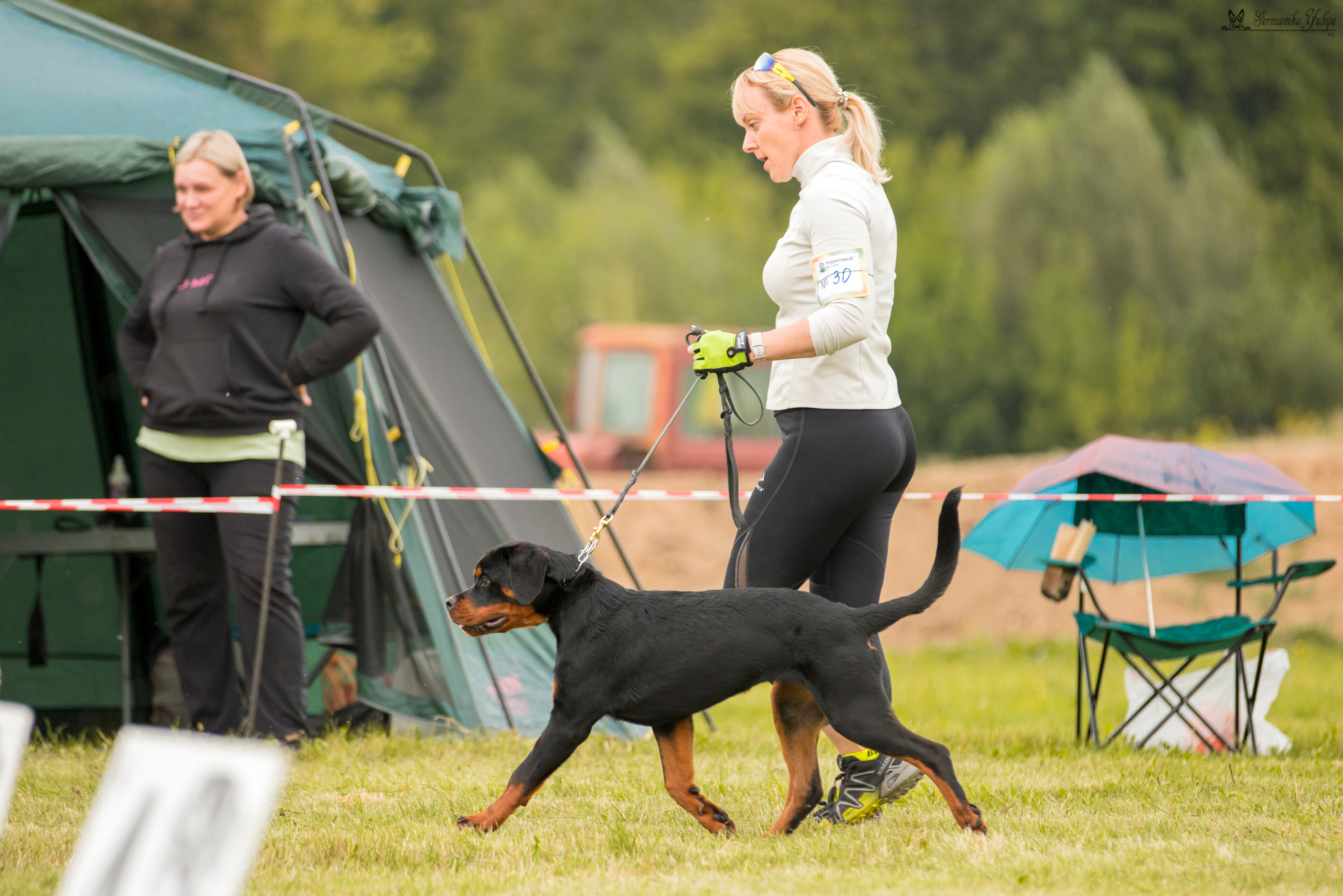 Рязань моно ротвейлеров 12.08.2023. Фотограф-анималист Юлия Германика