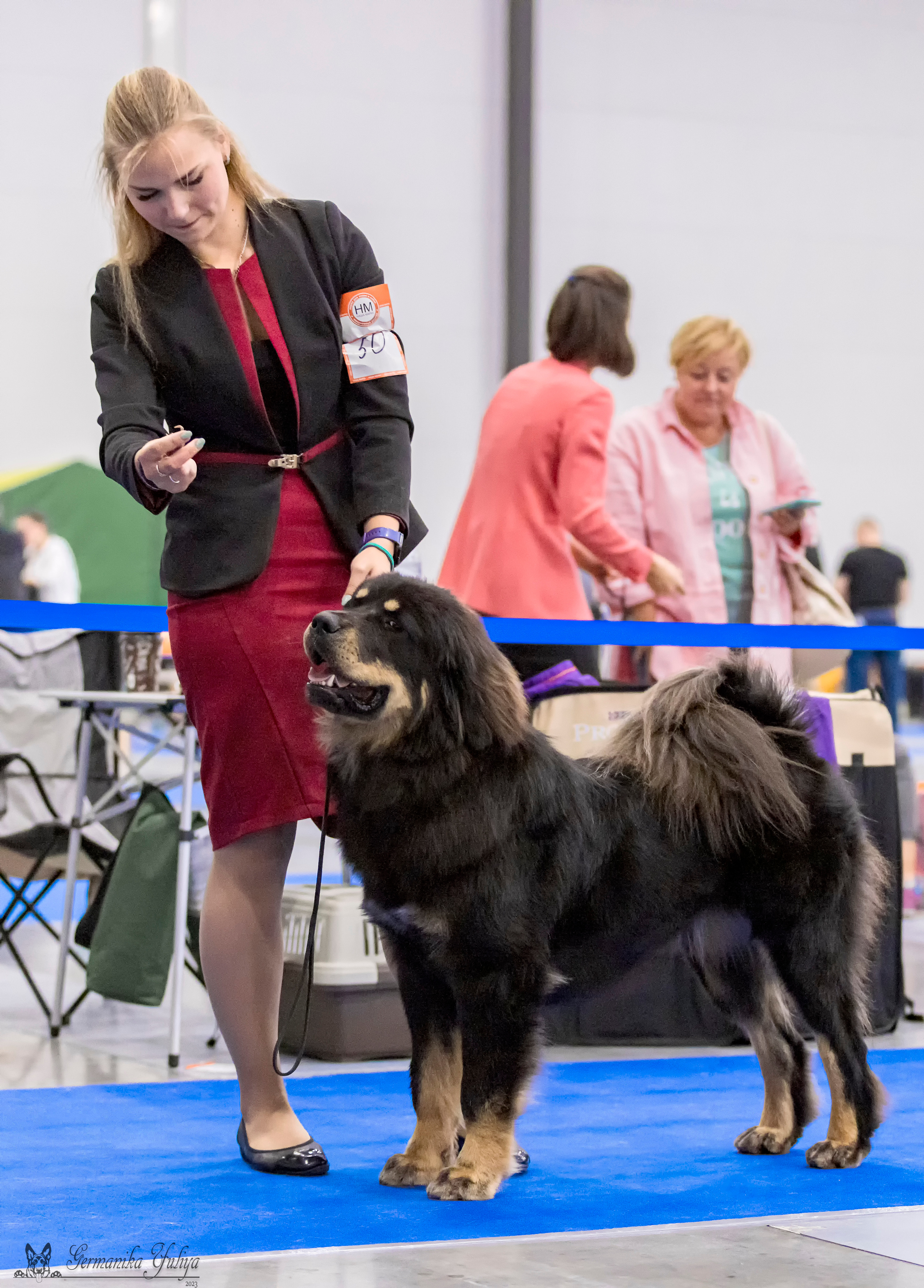 Питер 2-3.09.2023. Фотограф-анималист Юлия Германика