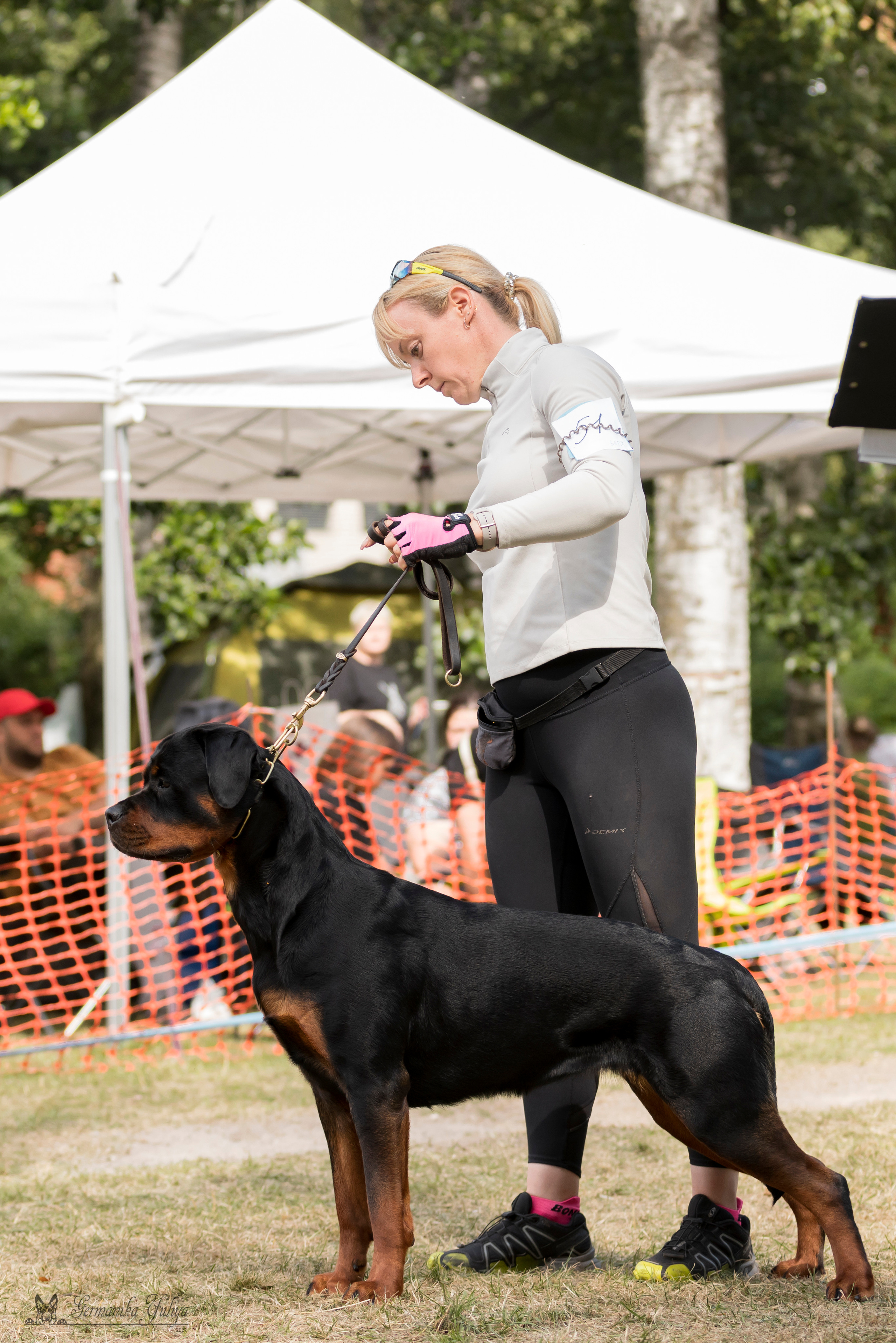 ПК и КЧК ротвейлеров Питер 22-23.07.2023. Фотограф-анималист Юлия Германика