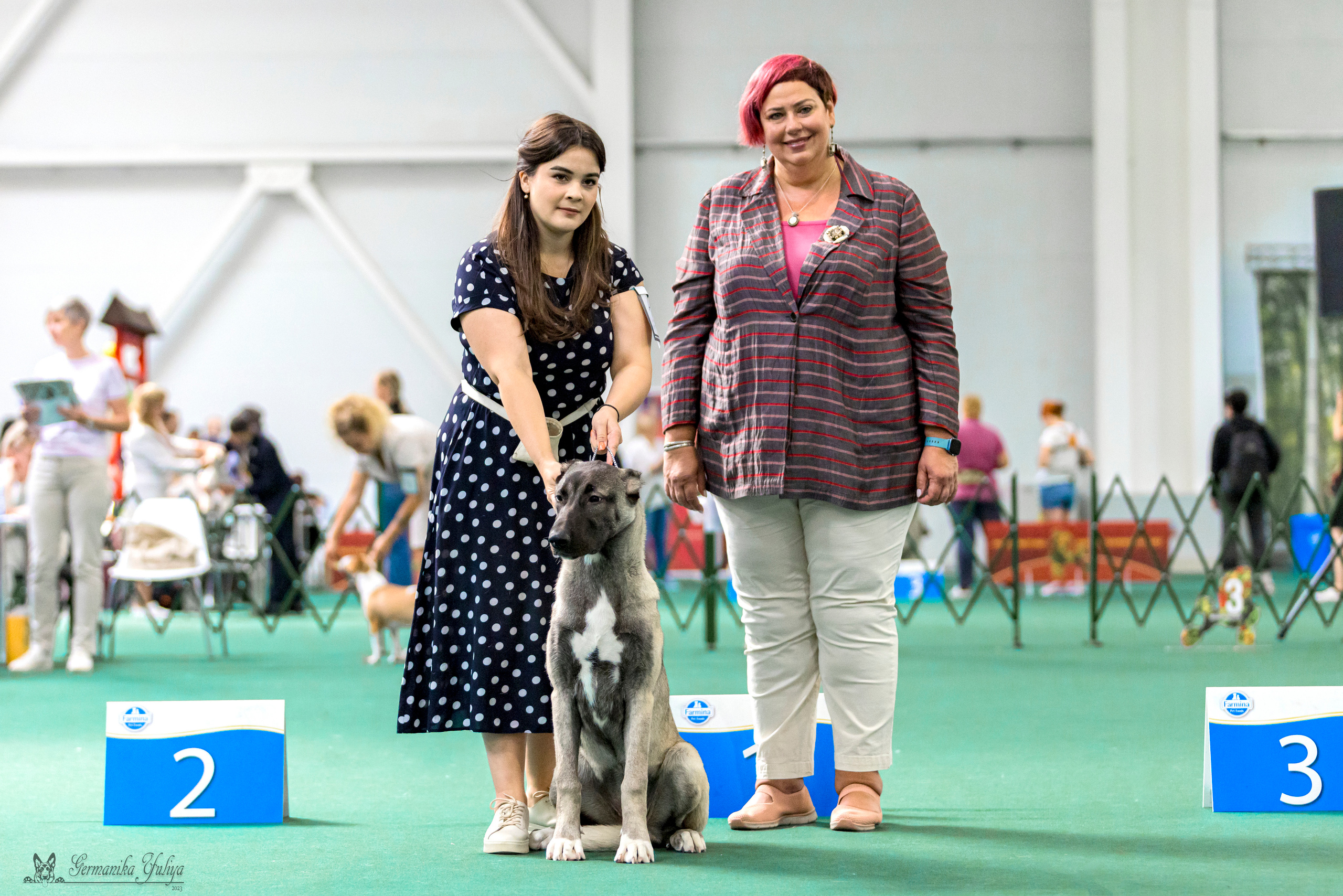 Крокус,Псков 5-6.08.2023. Фотограф-анималист Юлия Германика