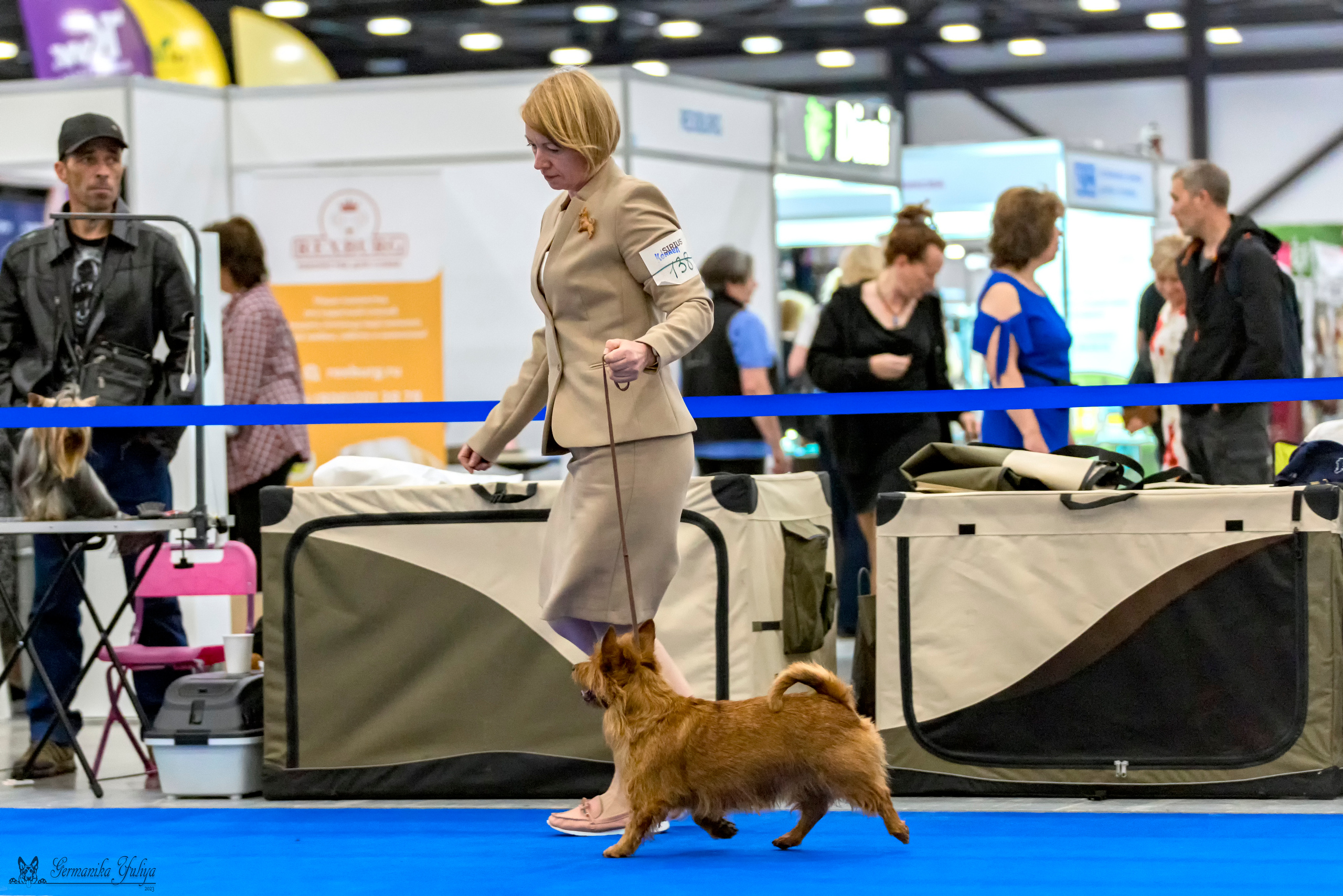 Питер 2-3.09.2023. Фотограф-анималист Юлия Германика