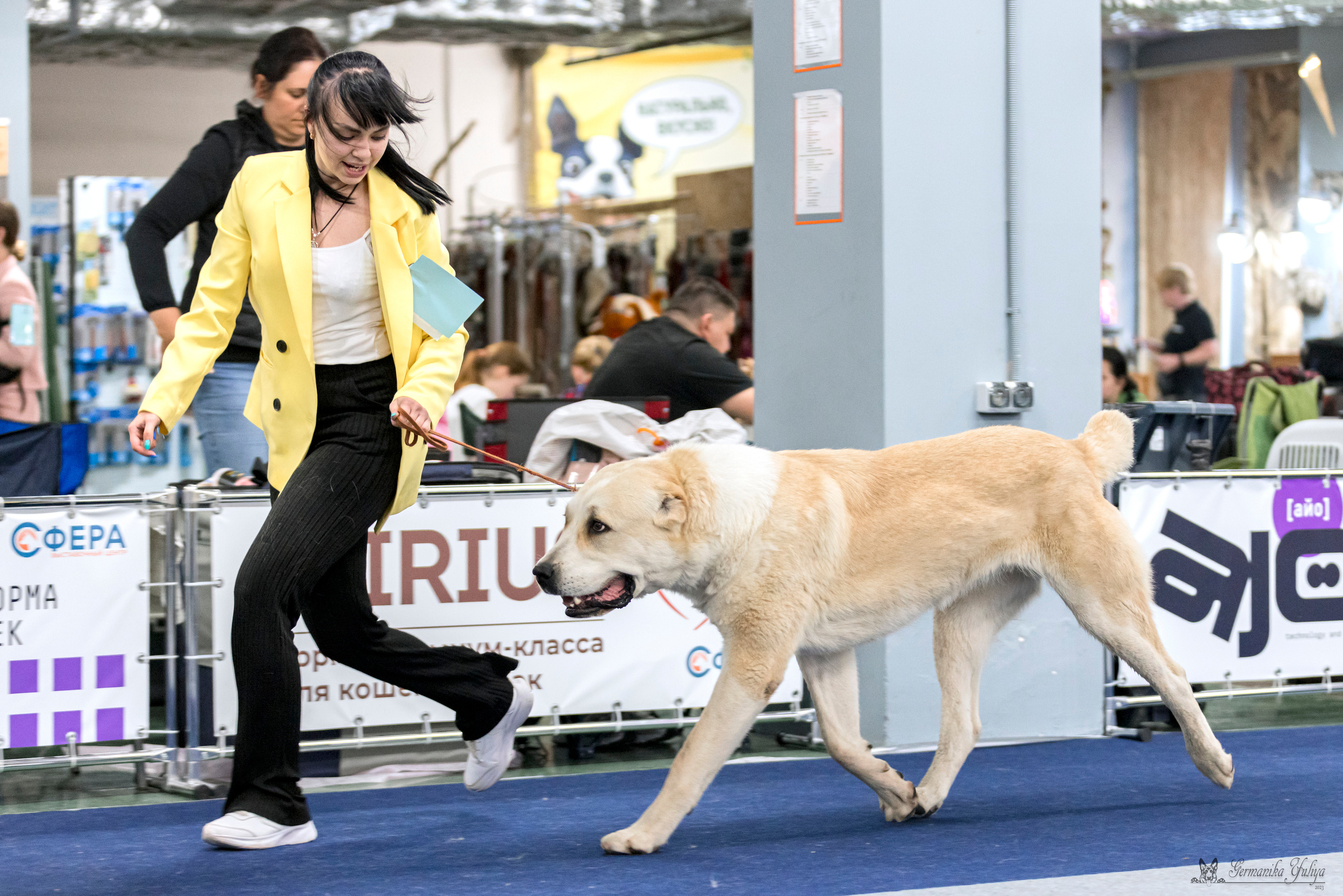 Сфера-Ховрино 29-30.07.2023. Фотограф-анималист Юлия Германика