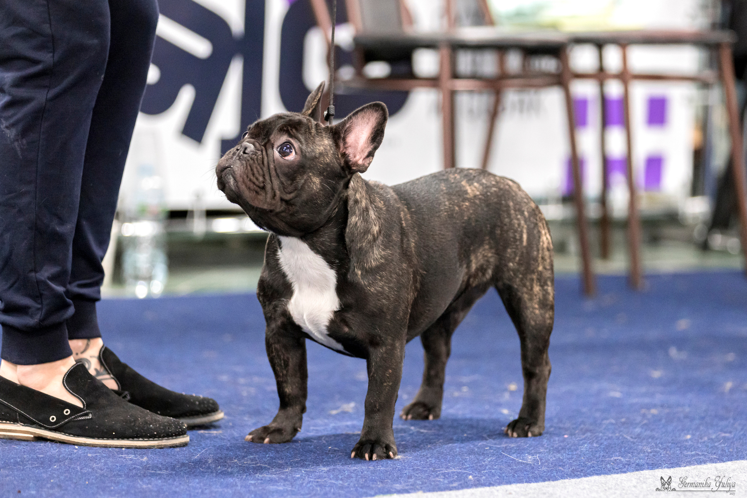 Сфера-Ховрино 29-30.07.2023. Фотограф-анималист Юлия Германика