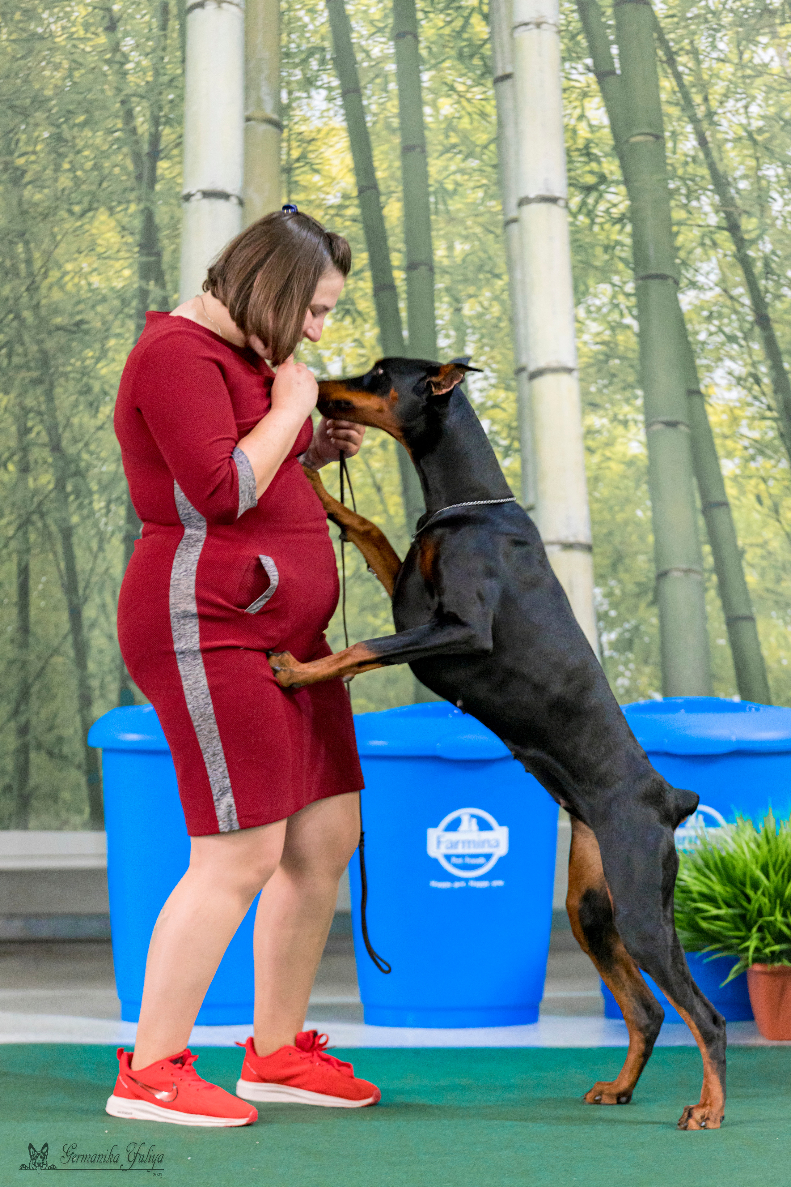Крокус,Псков 5-6.08.2023. Фотограф-анималист Юлия Германика