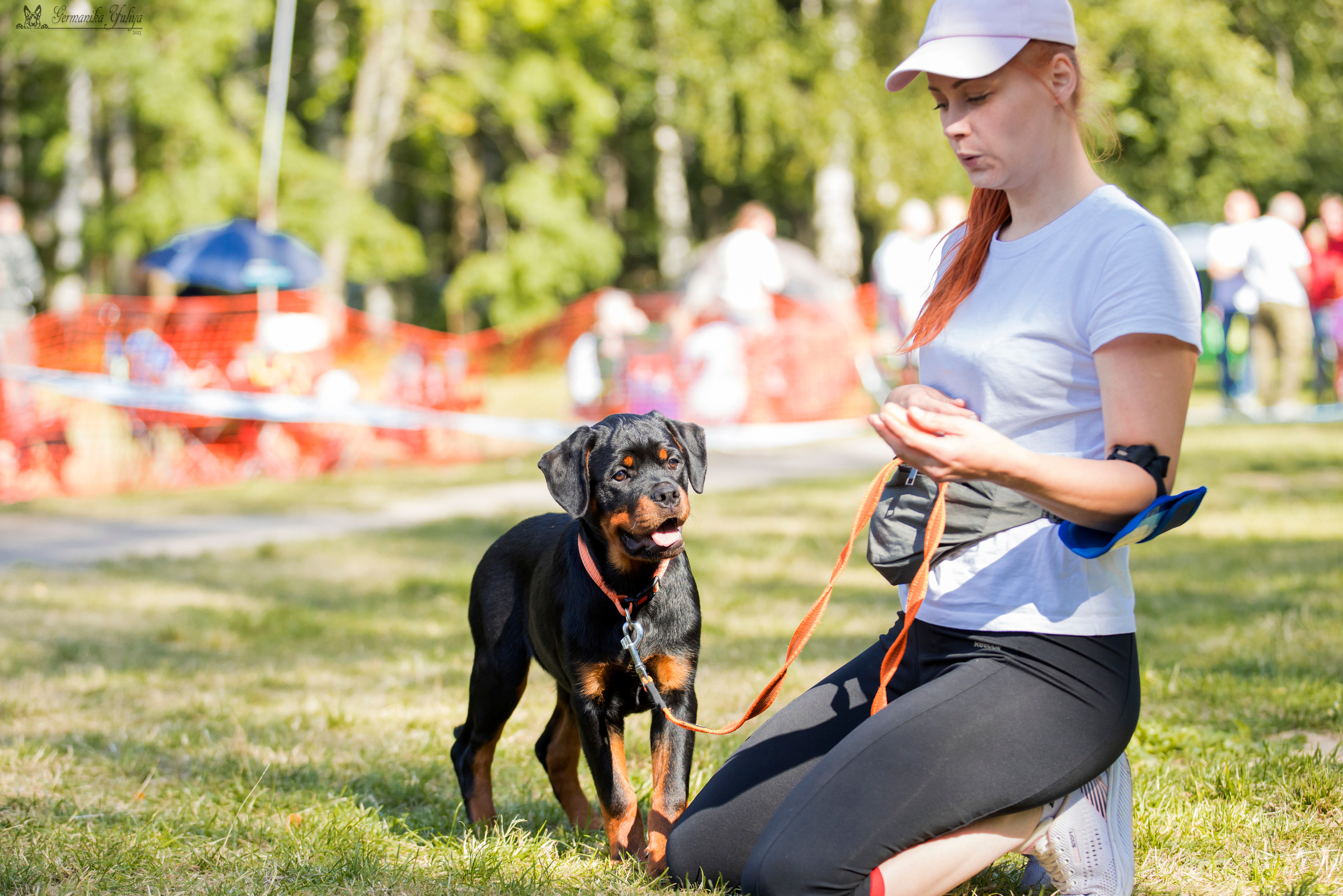 ПК и КЧК ротвейлеров Питер 22-23.07.2023. Фотограф-анималист Юлия Германика