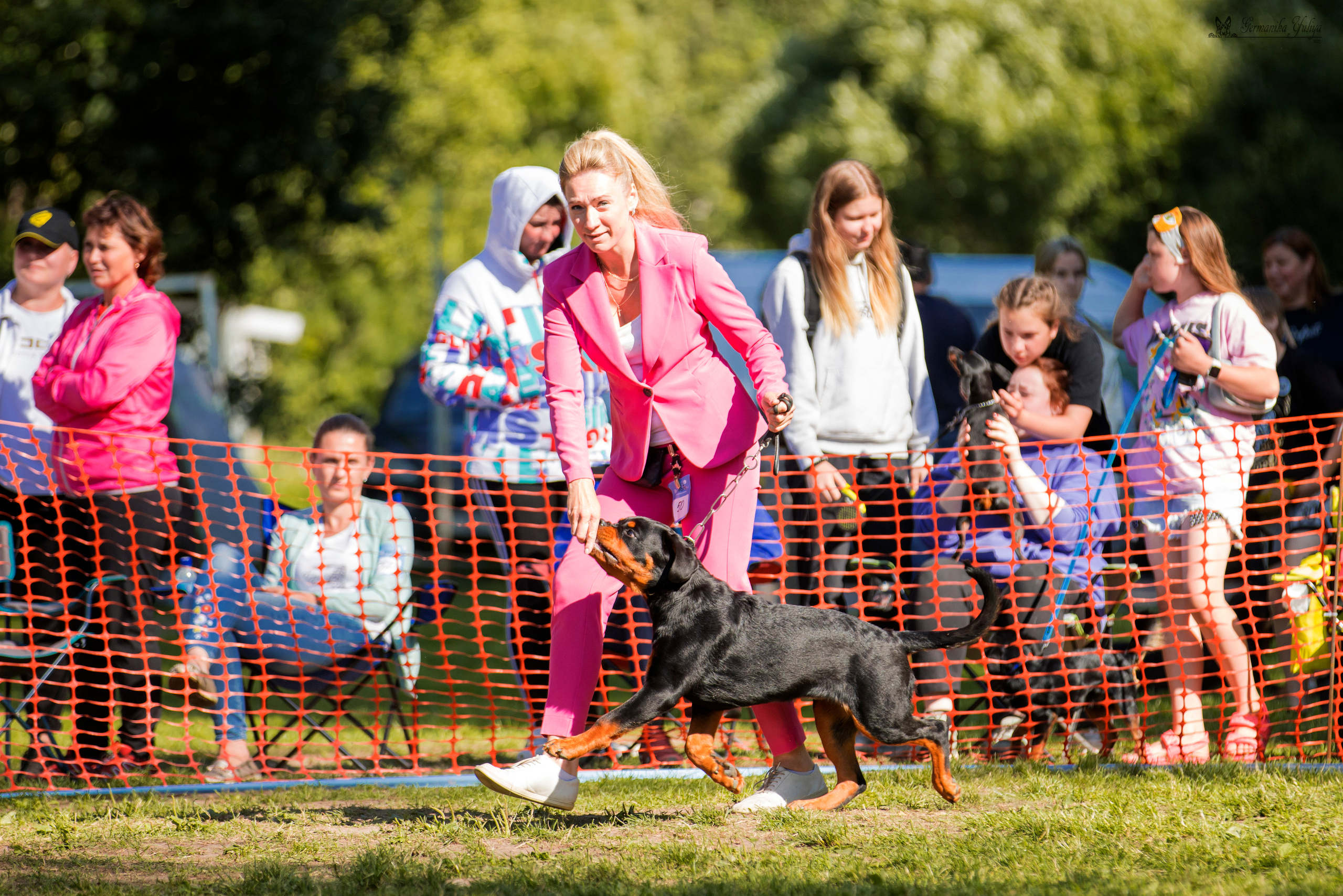 ПК и КЧК ротвейлеров Питер 22-23.07.2023. Фотограф-анималист Юлия Германика