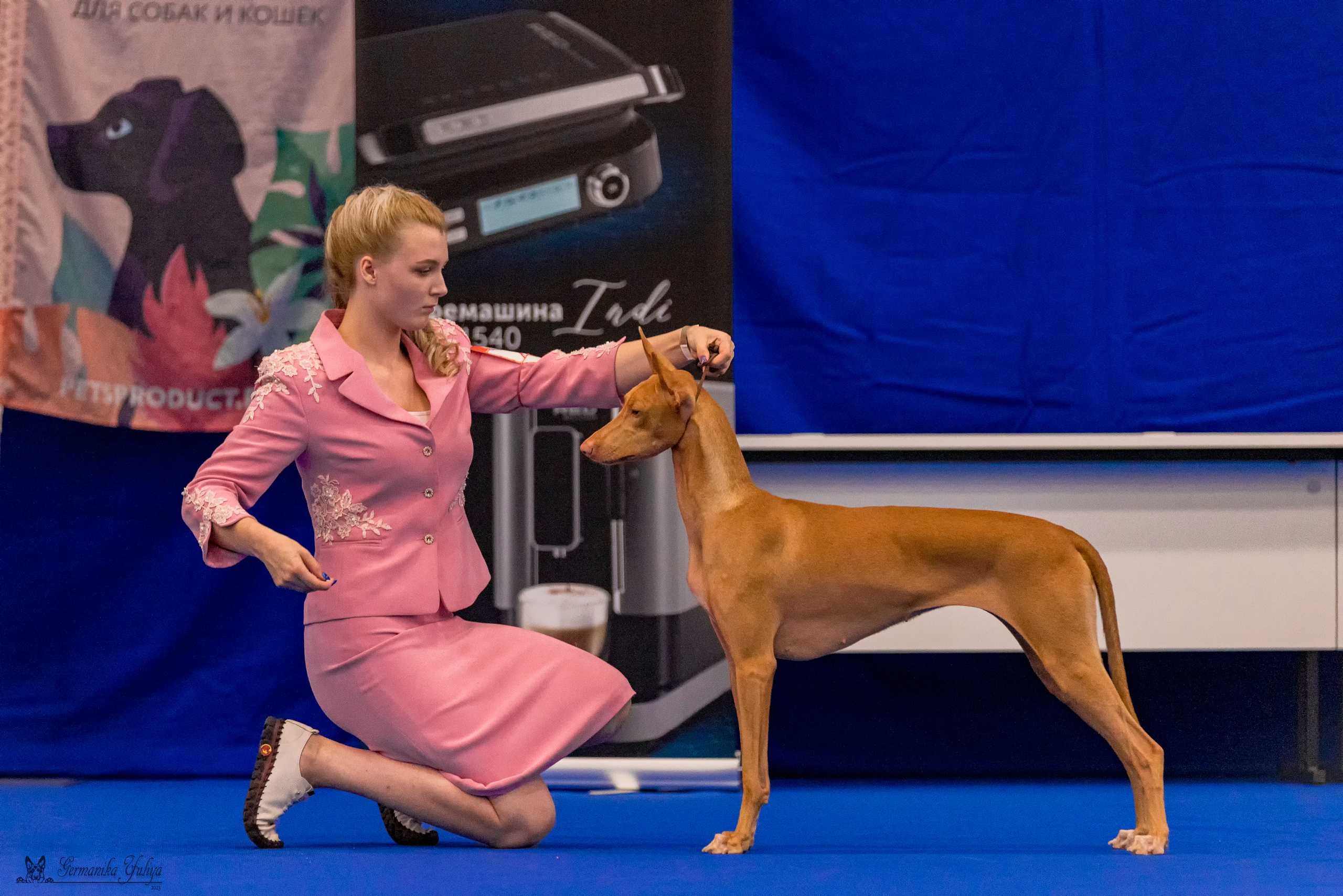 Питер 2-3.09.2023. Фотограф-анималист Юлия Германика