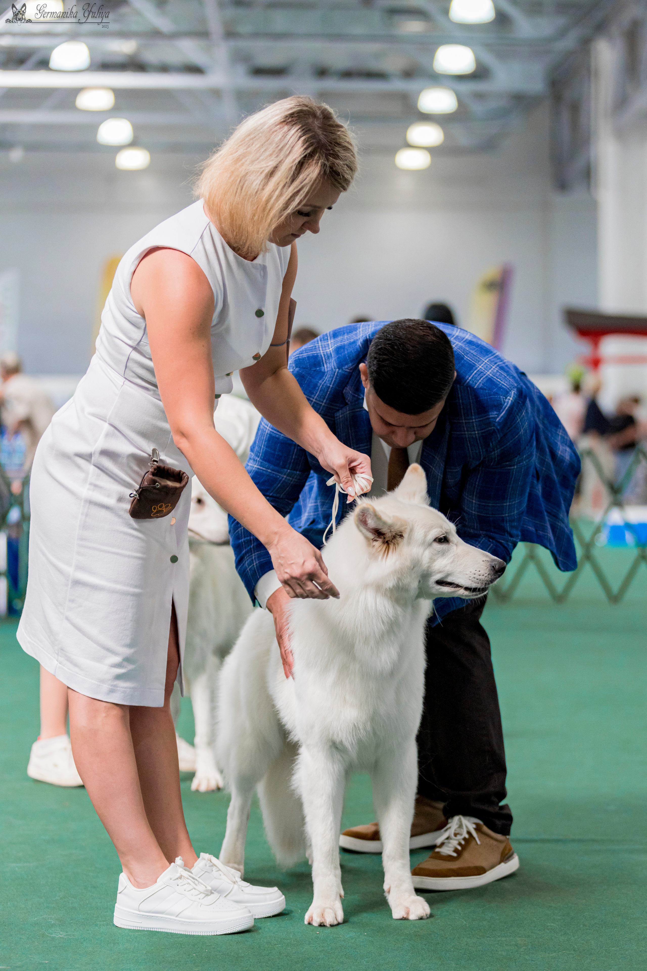 Крокус,Псков 5-6.08.2023. Фотограф-анималист Юлия Германика